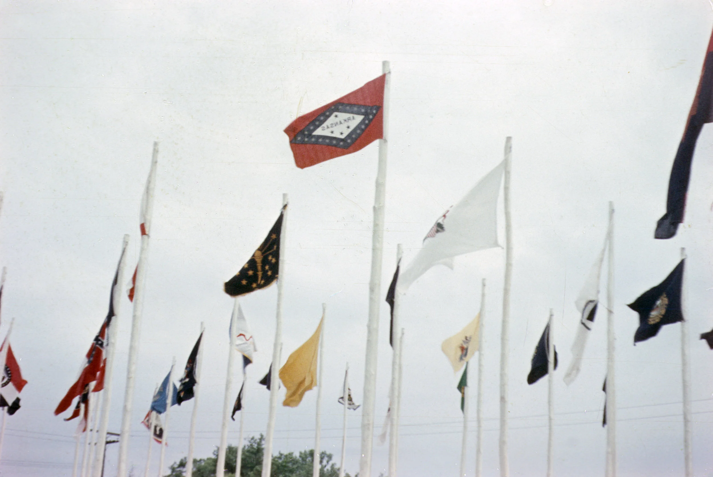00056_s_9ab68krlw0160.jpg