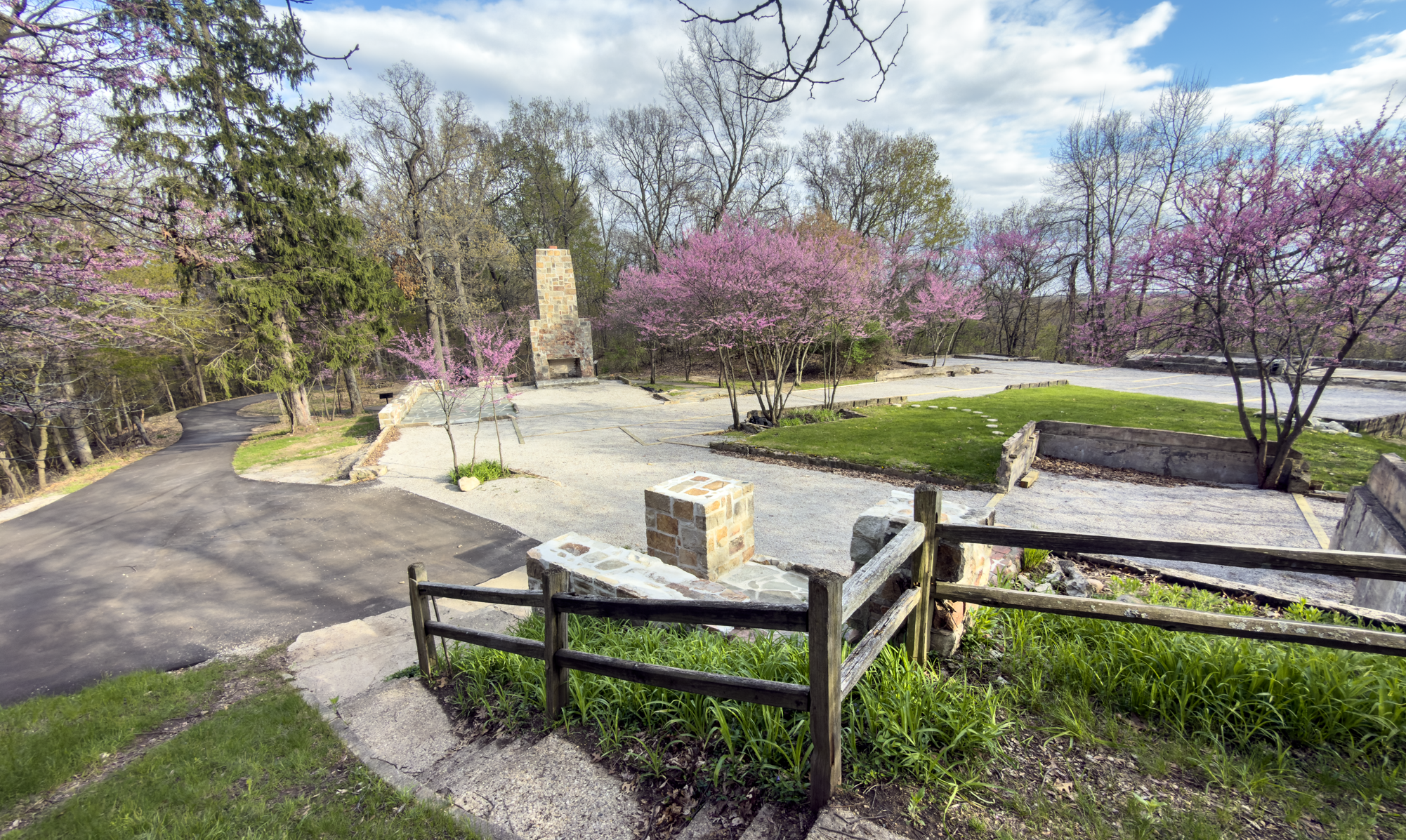 Redbuds In Bloom at Haven Hill! Come and See!