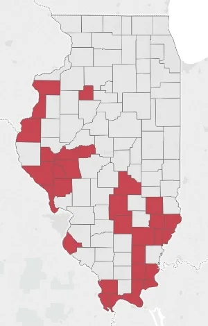 Websiteless IL counties.jpg