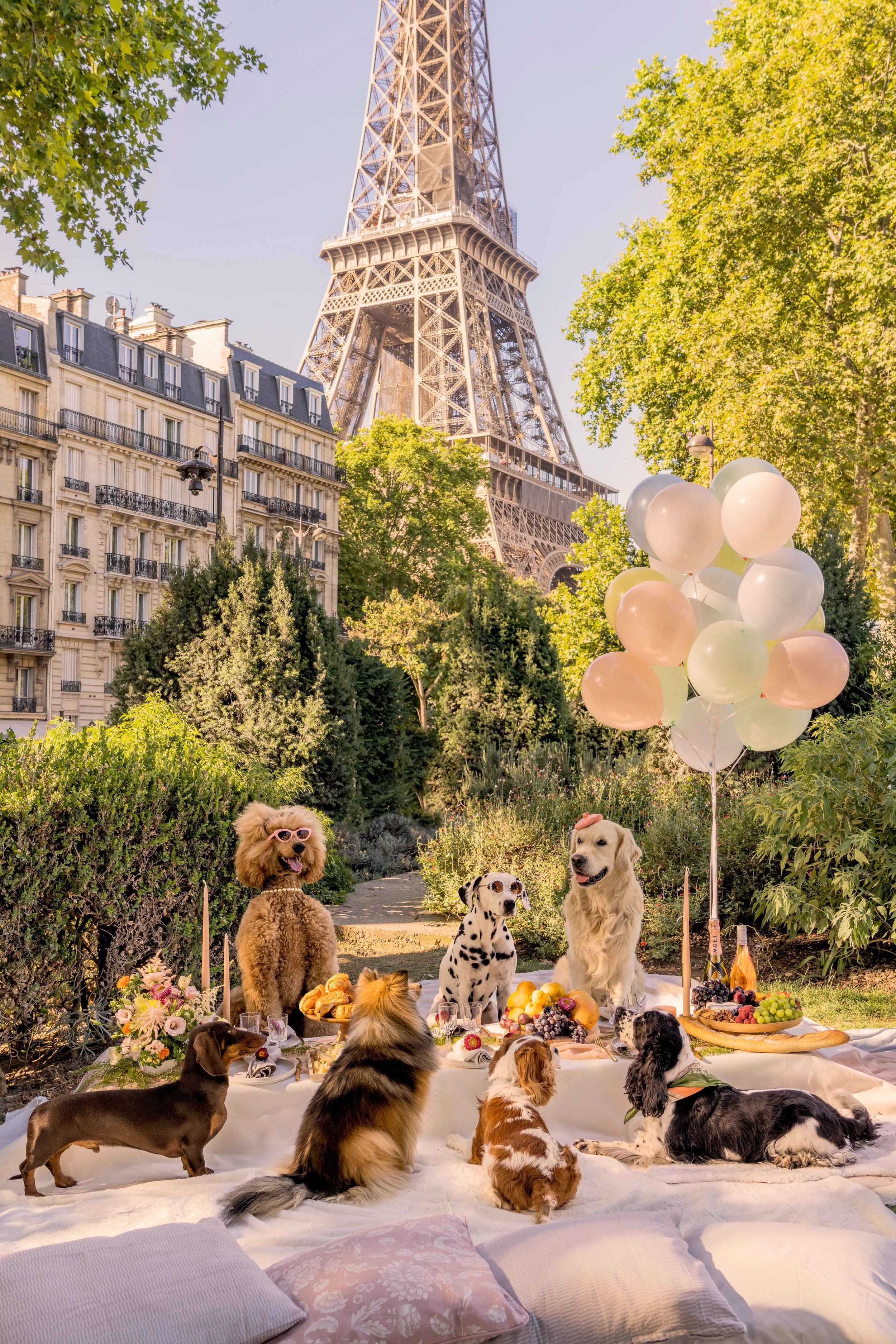 Eiffel Tower Picnic Party, Paris.jpg