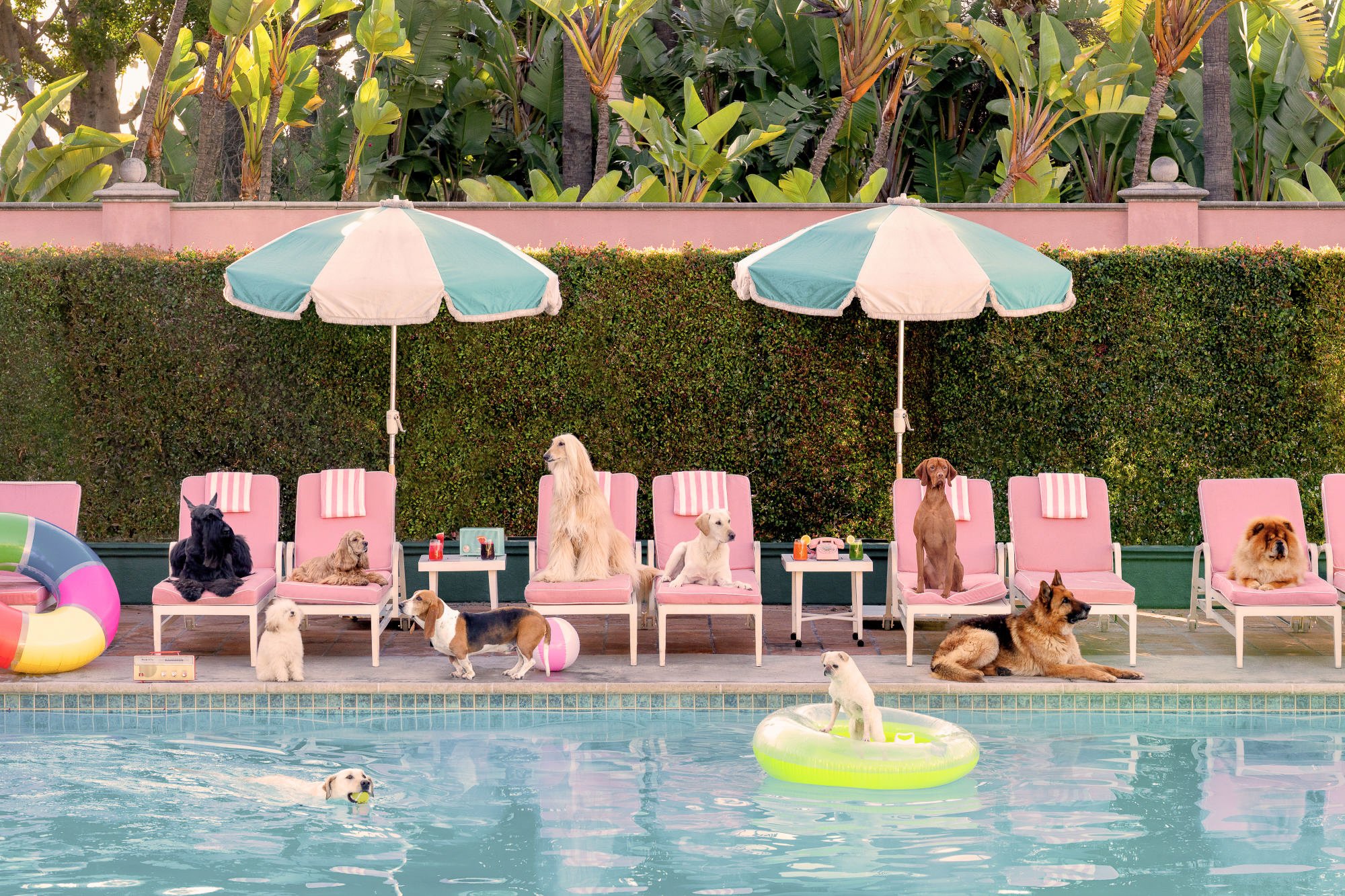Pool Day, The Beverly Hills Hotel.jpg