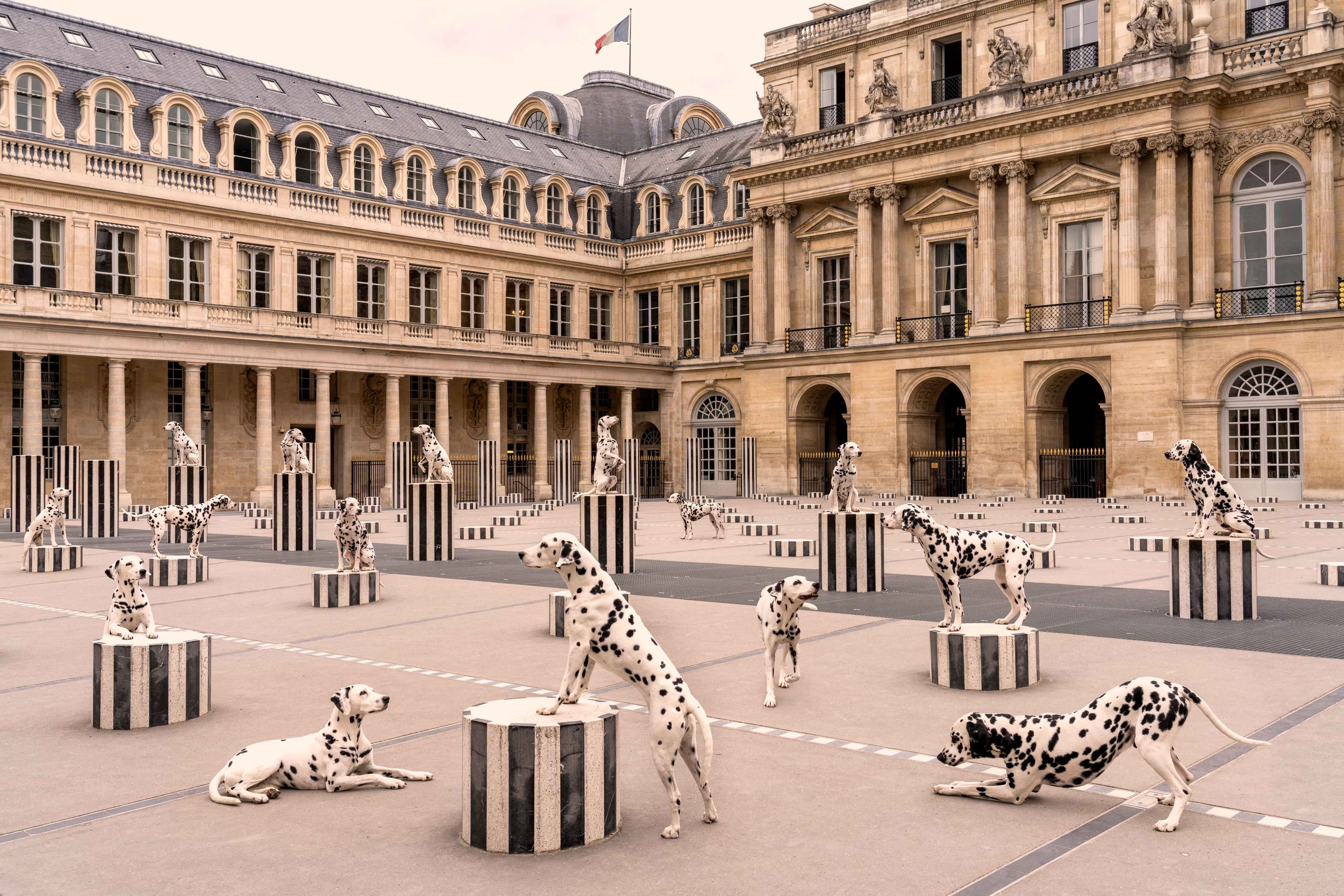 Spotted at Palais-Royal, Paris.jpg
