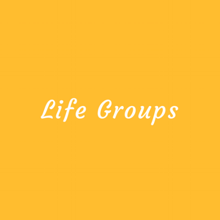 Life Group Logo W:No Flame.png