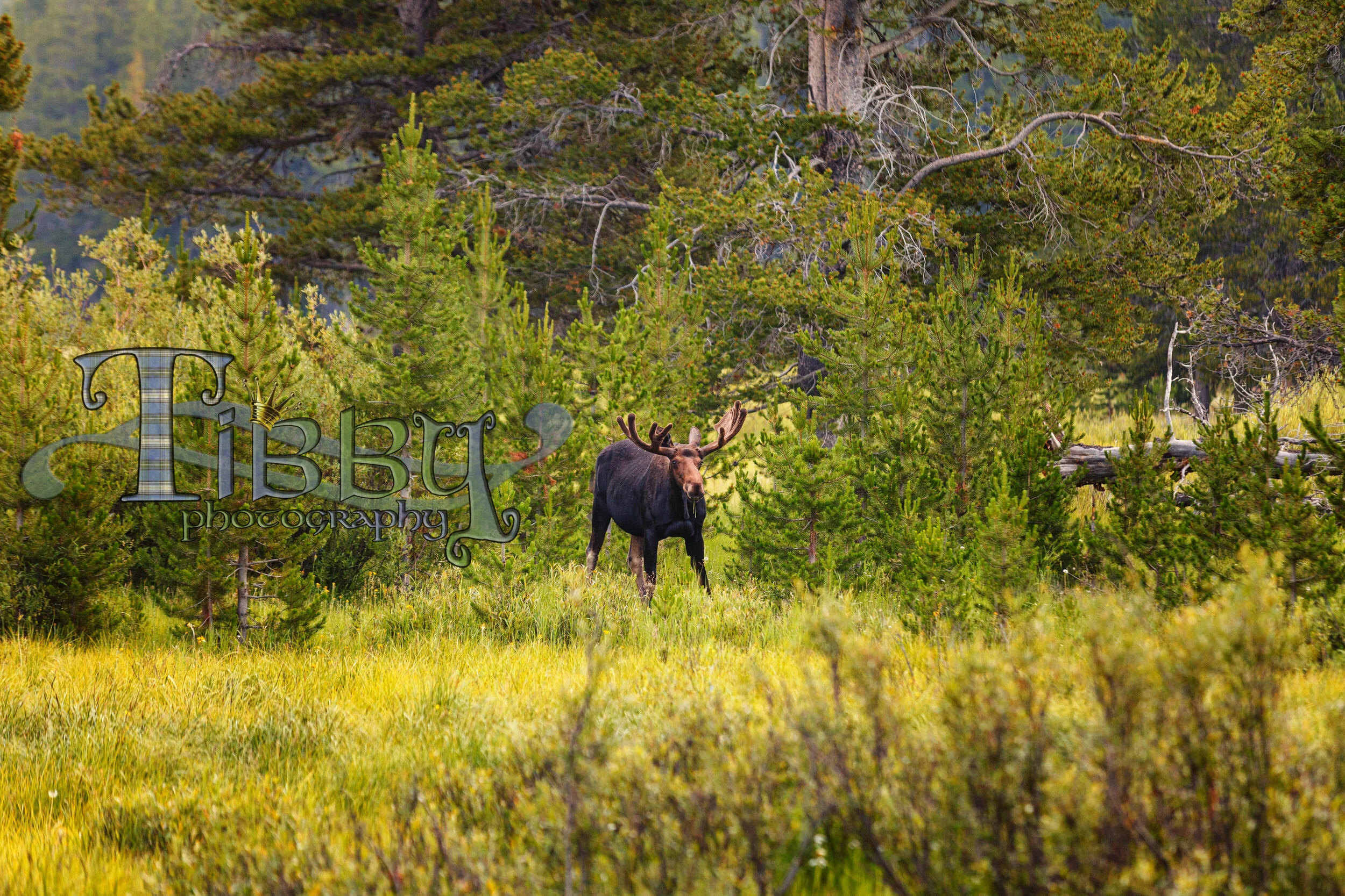 071721_Camping-Big-Horns_TM2021-3130-Edit.jpg
