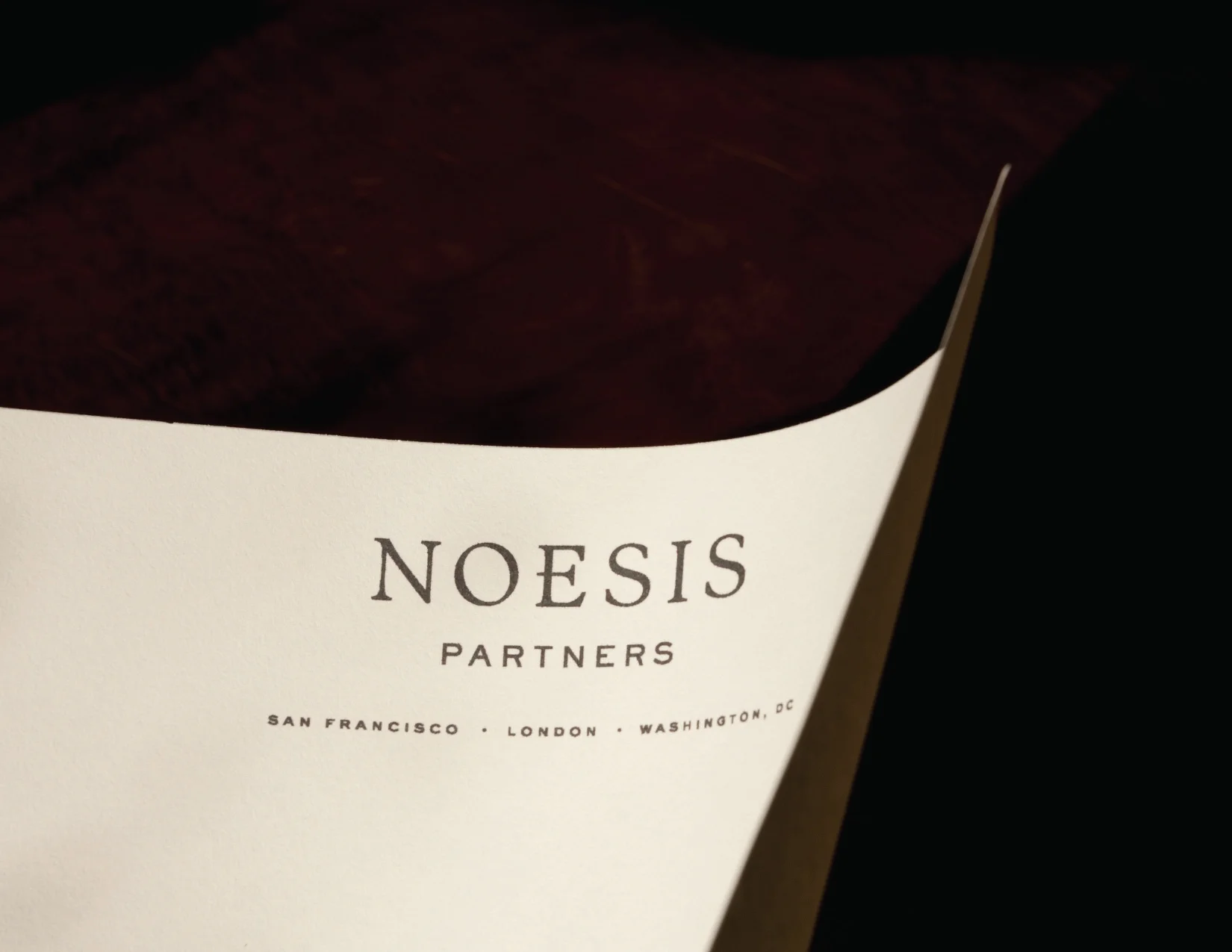 NoesisPartners-05.jpg