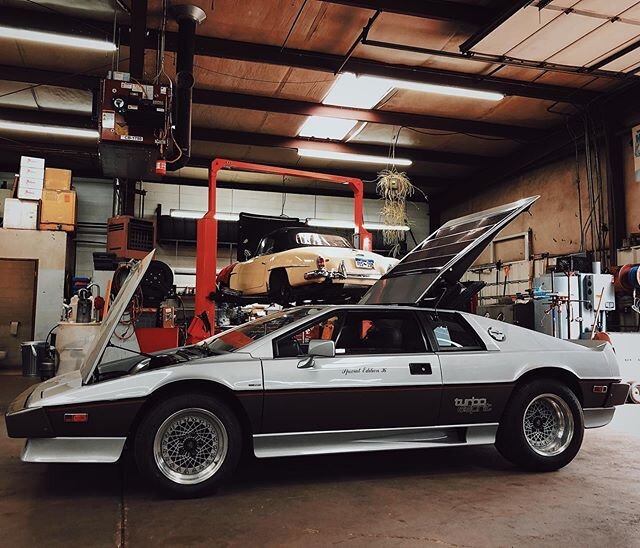 1983 Lotus Turbo Esprit

Iconic British classic in for iconic British problems. Electrical gremlins are wreaking havoc. We are here to sort them out.