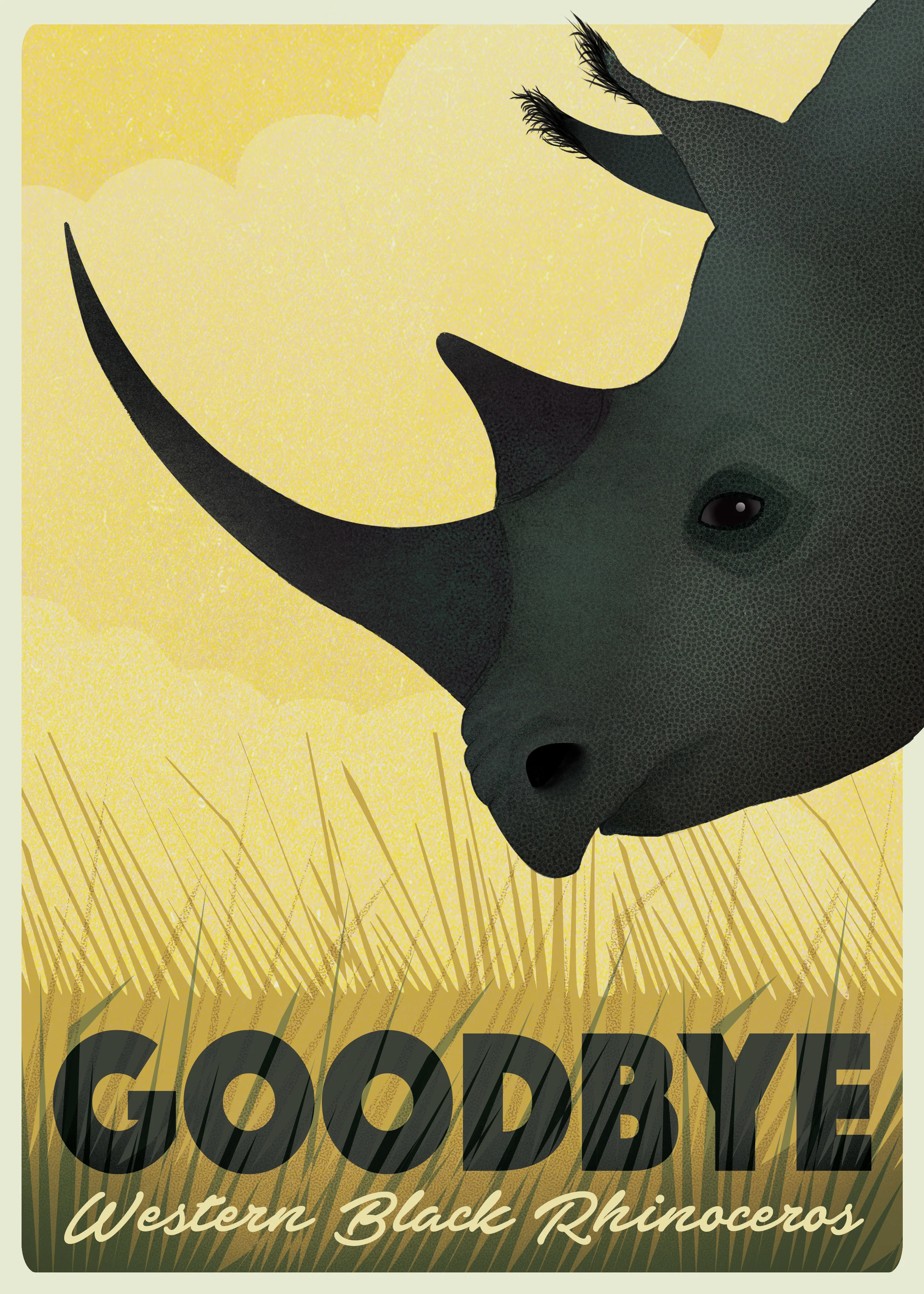 Western Black Rhinoceros