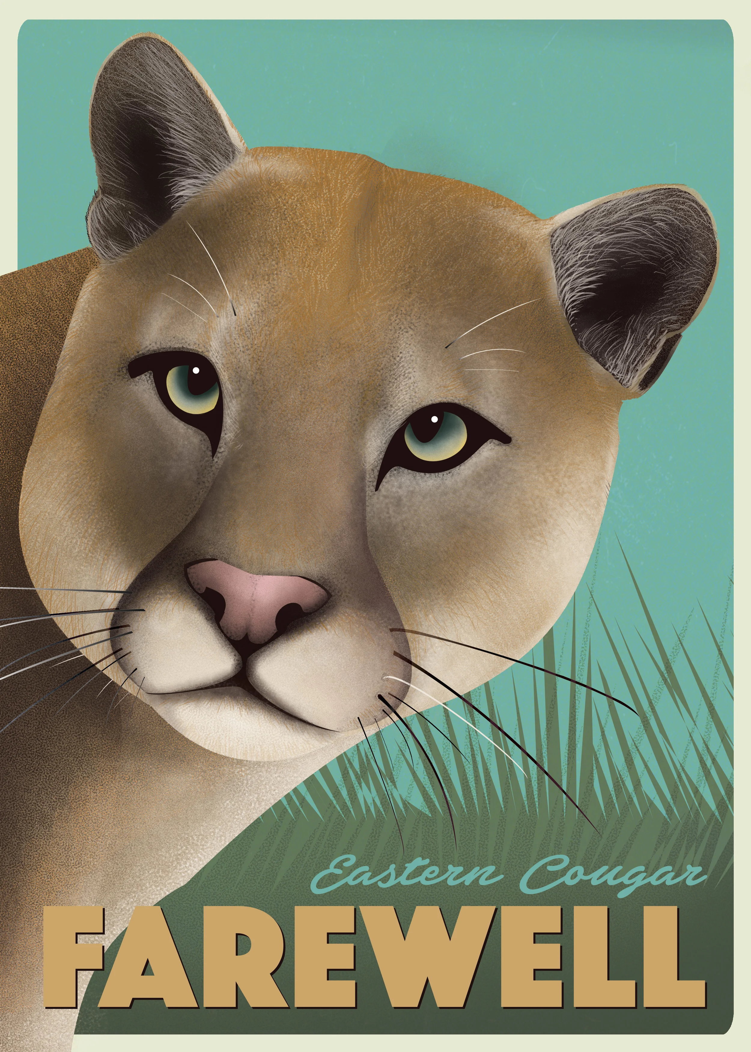 Eastern Cougar