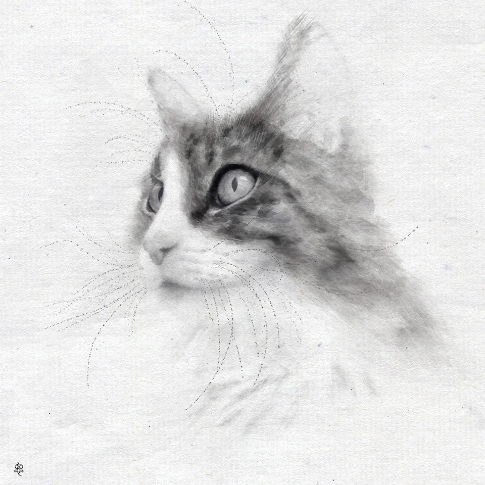 Lassen