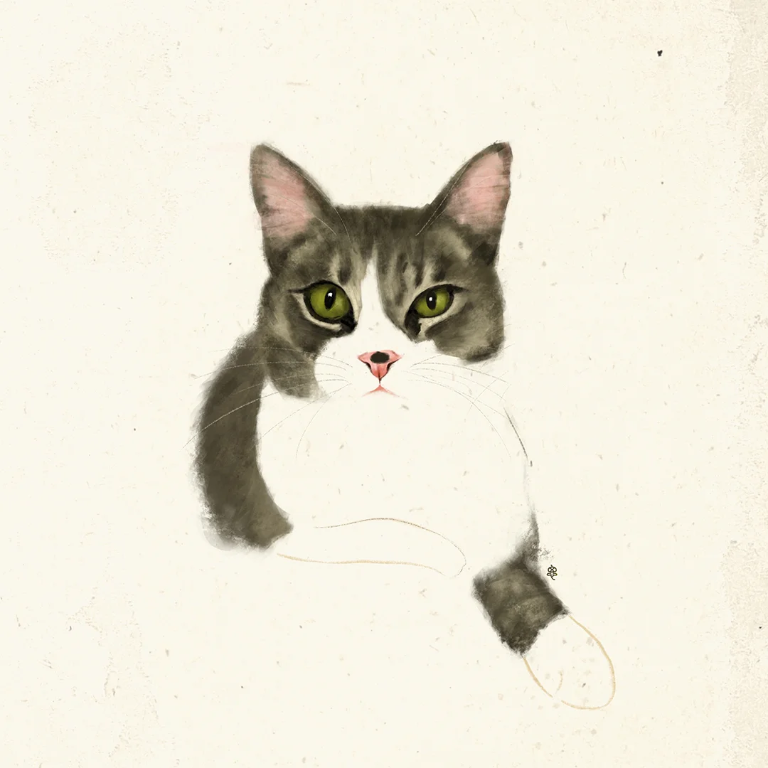 BEBE