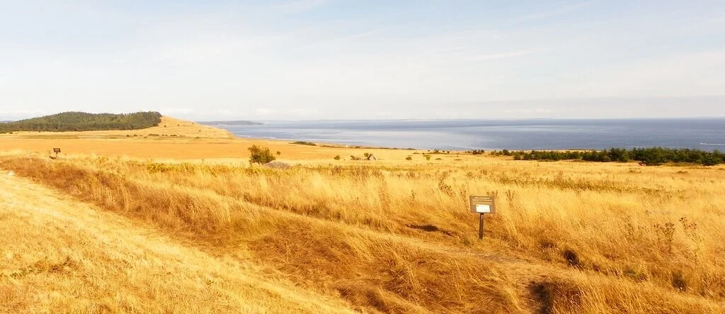 cattle_point.jpg