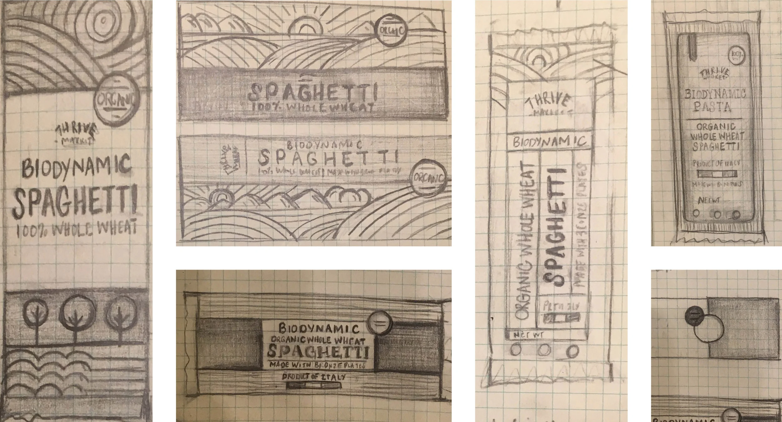 Pasta_Sketches.jpg