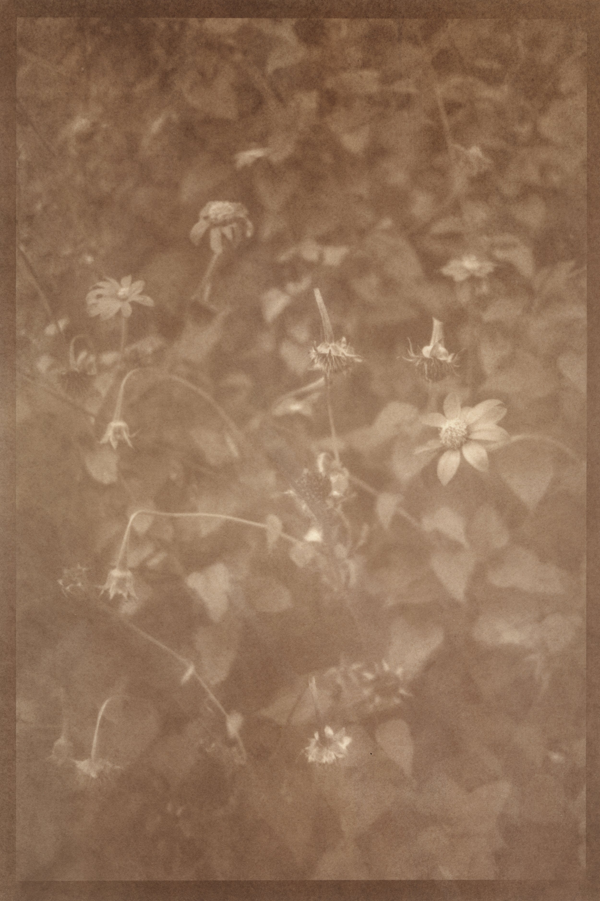 IShaGarden(1)_2Scan copy.jpg