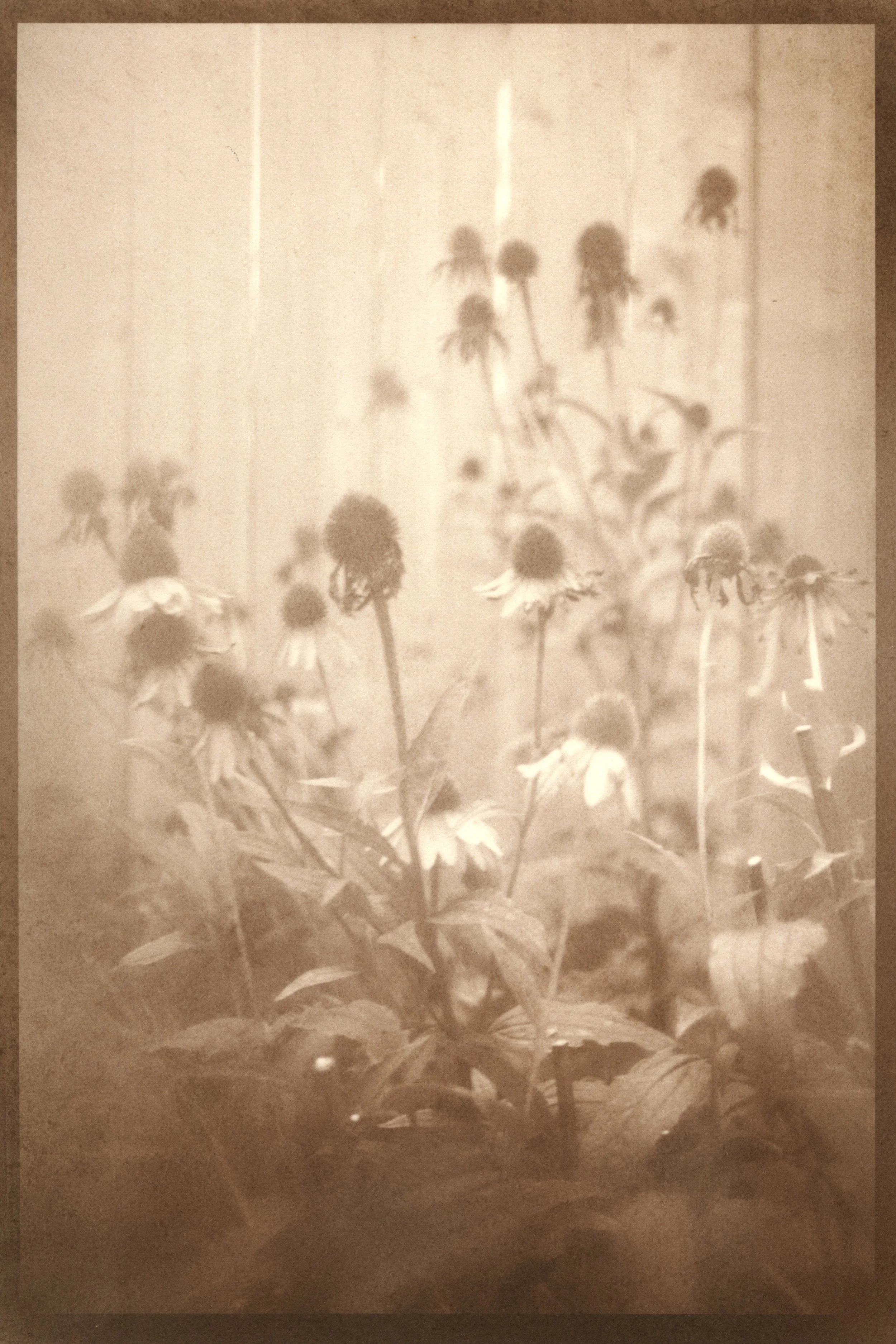 JamiesGarden(1)_4Scan copy.jpg