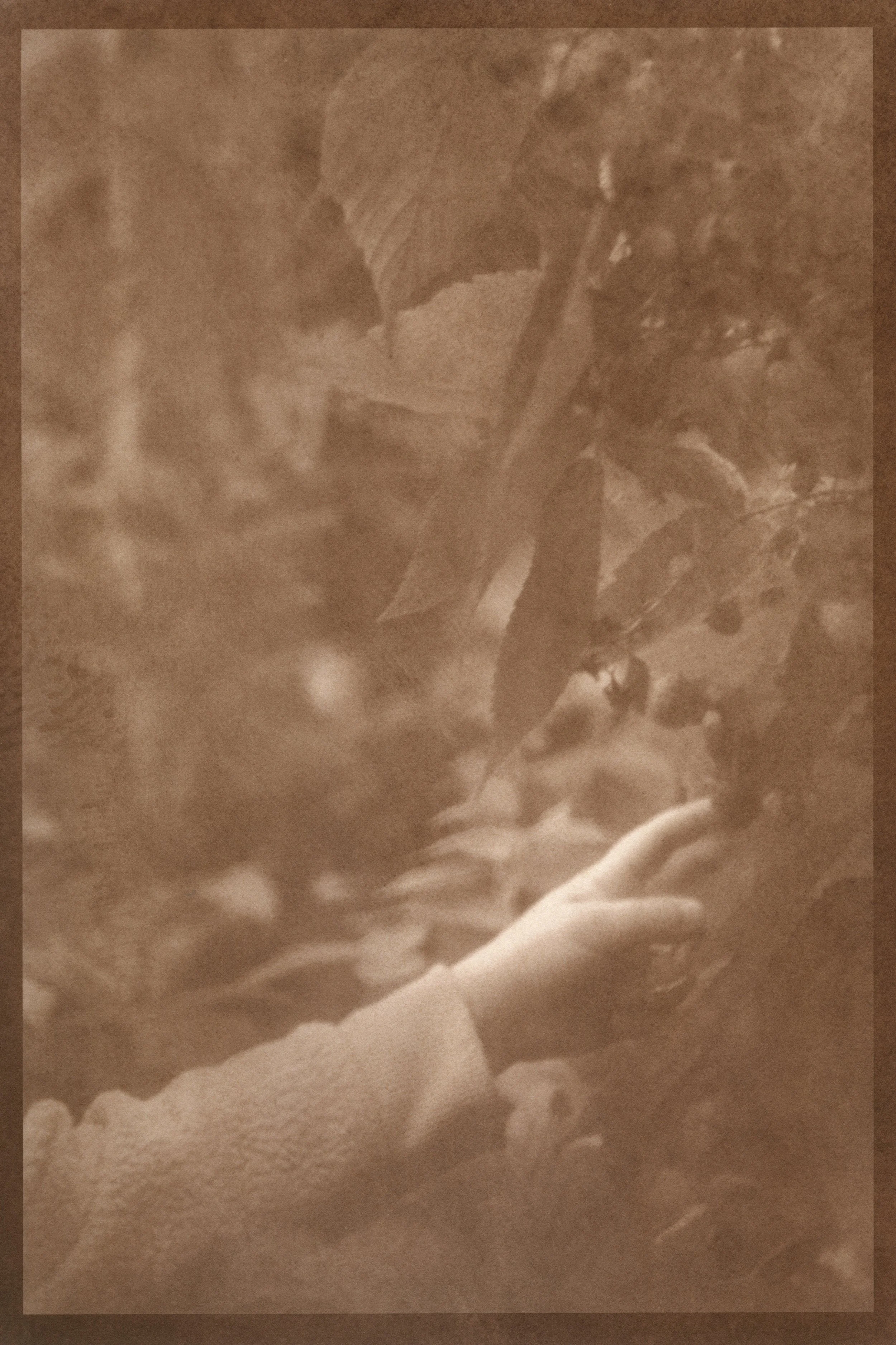 JamiesGarden(3)_1Scan copy.jpg