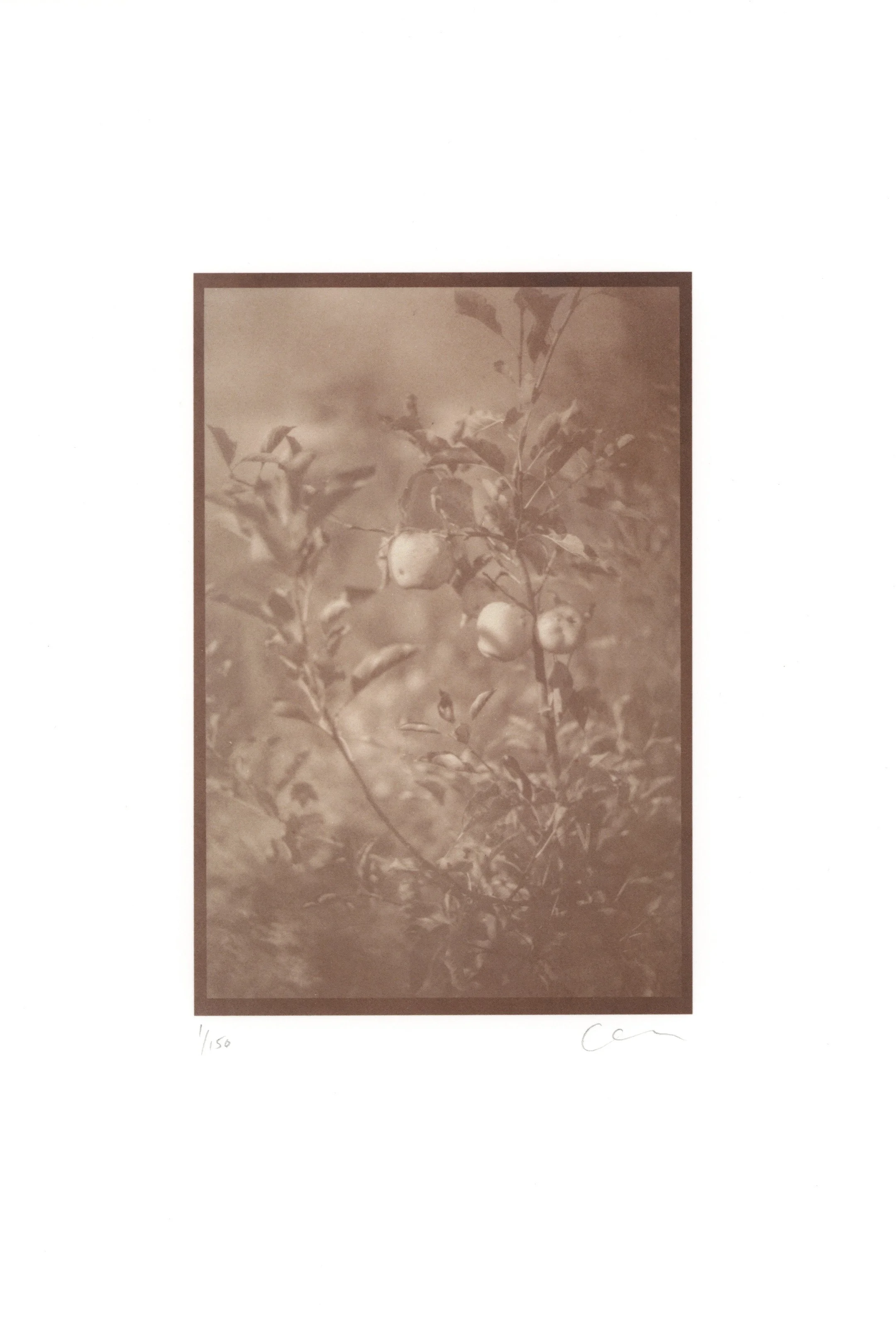 Scan copy3.jpg