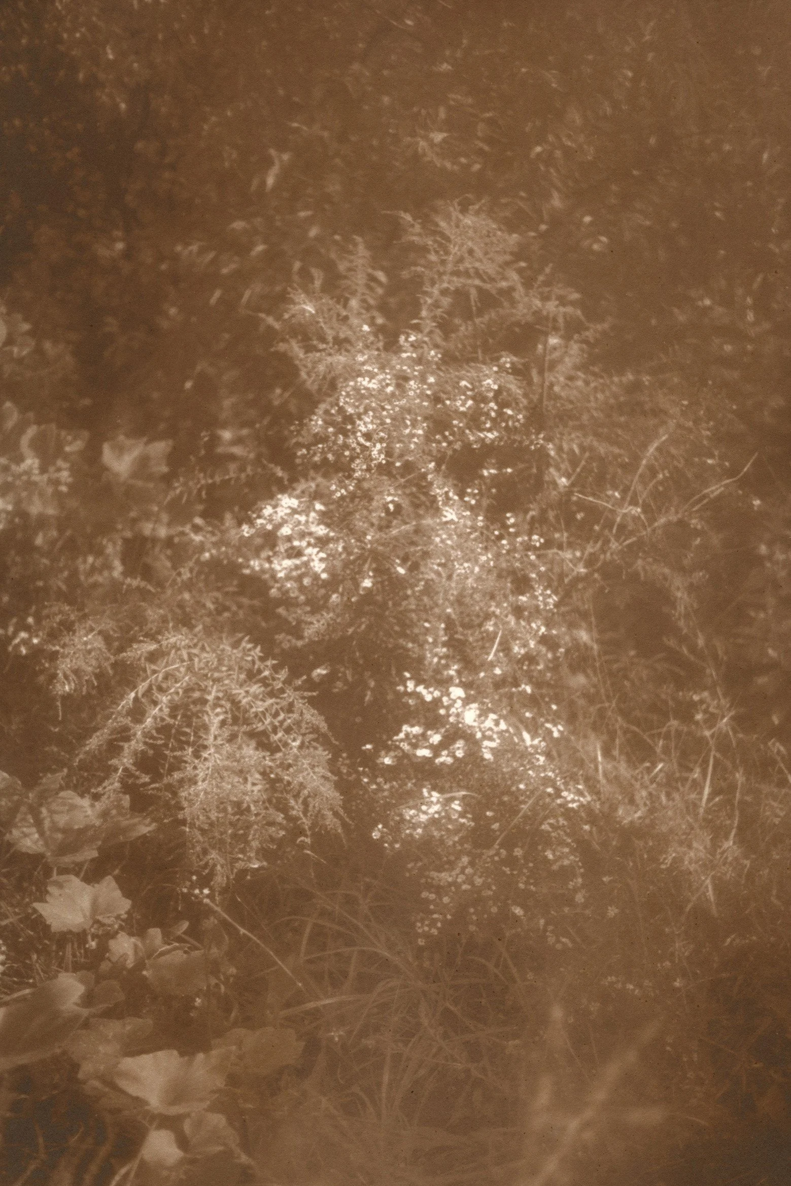 01_BandhuGardens(2)_2023_Detroit copy 2.jpg