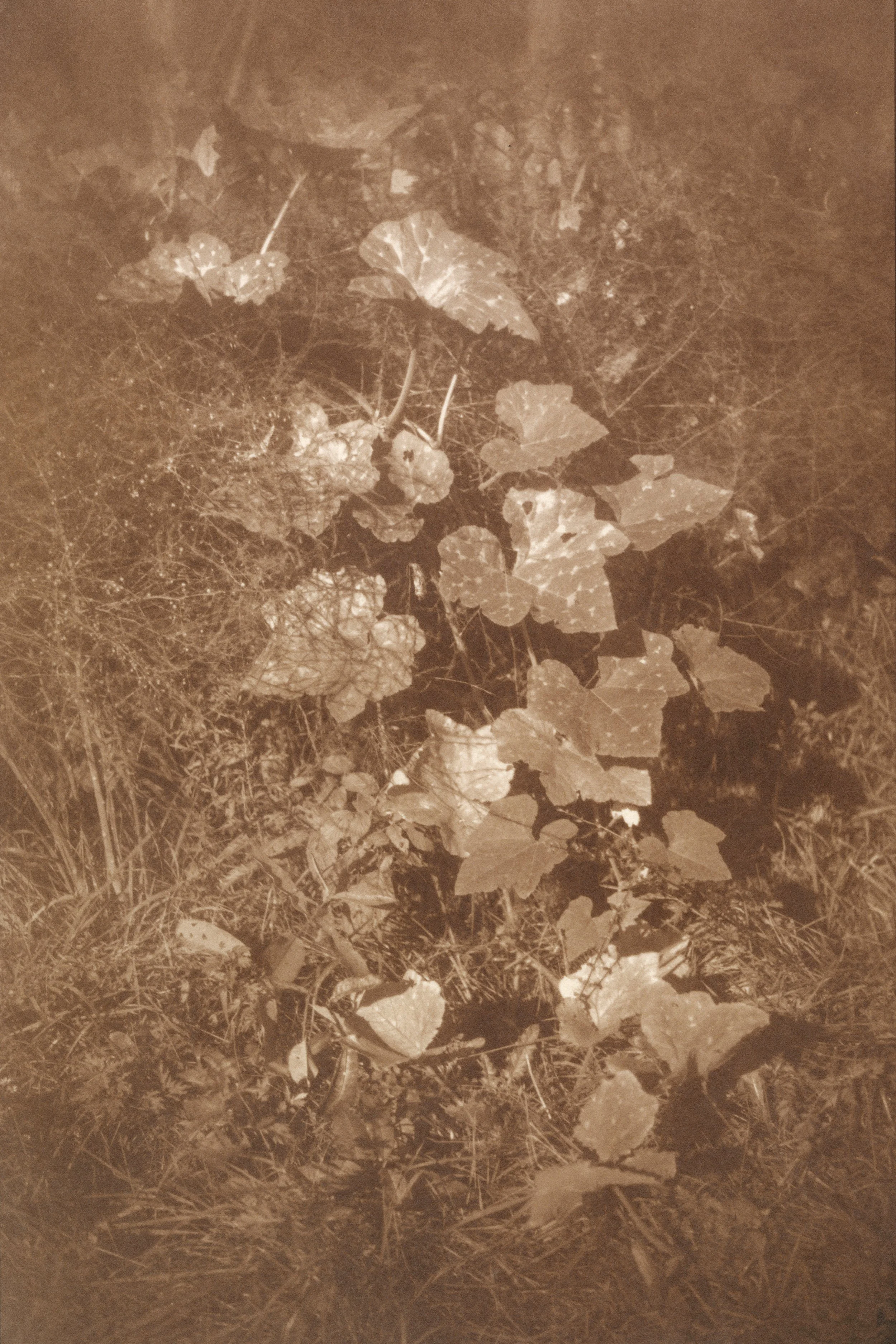 BandhuGardens(3)_1Scan copy.jpg