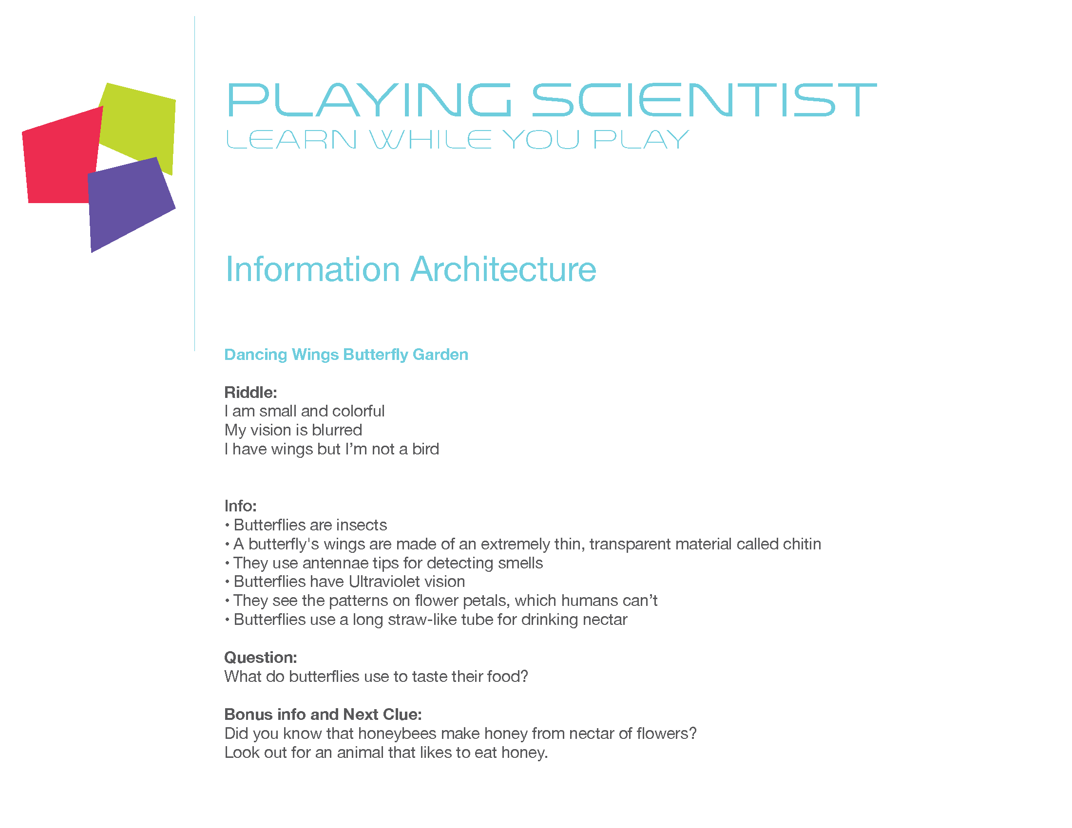 Information Architecture