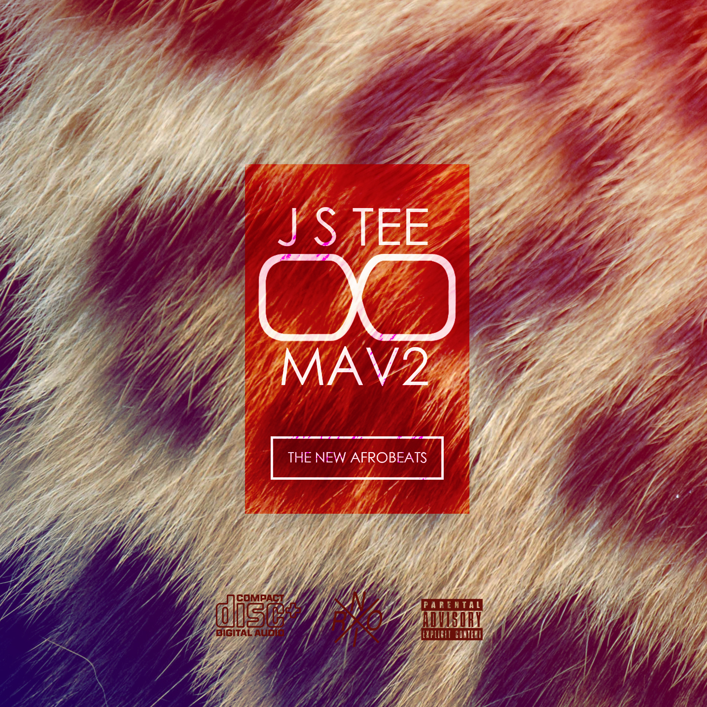 FINAL DJ STEE COVER.jpg