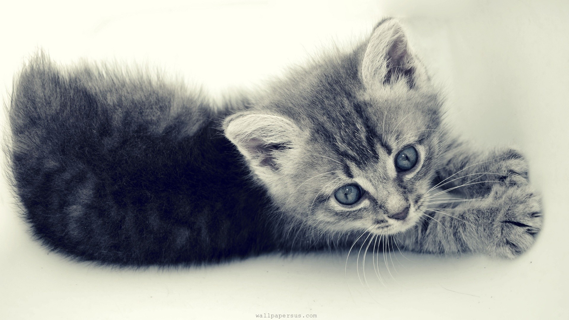 cute, but she doesn't need tobe a mummy...