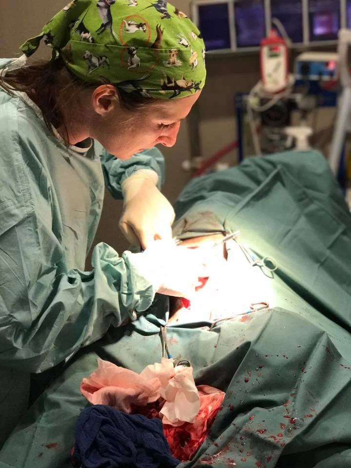 drmelsurgery.jpg