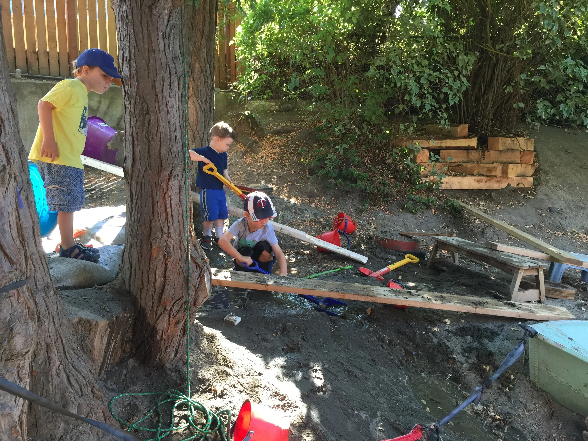 Woodland Park Summer CoOp