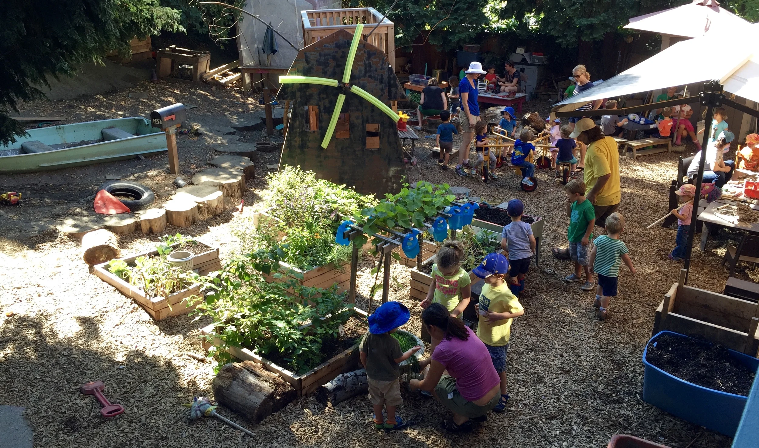 Woodland Park Summer CoOp