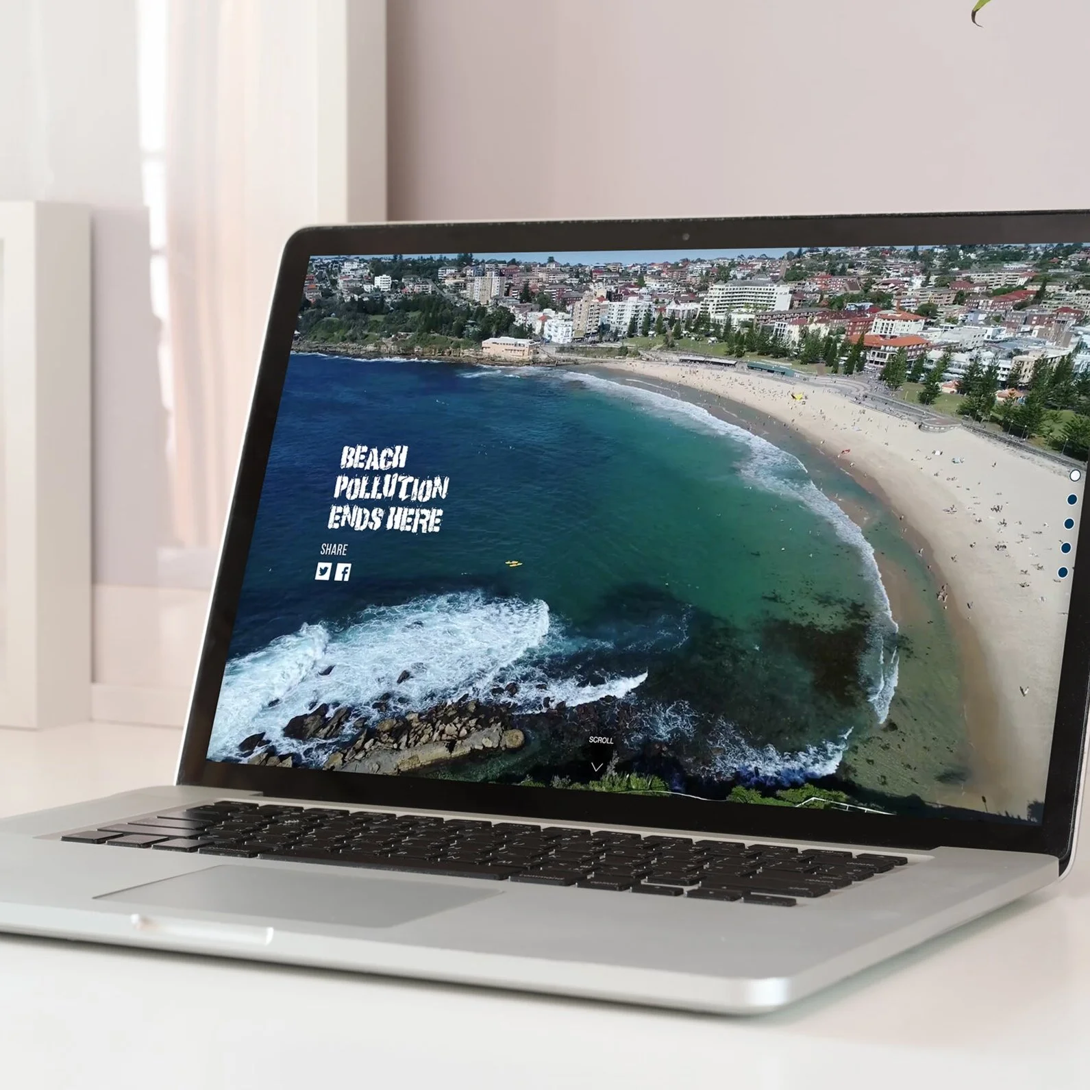 BEACH POLLUTION ENDS HERE