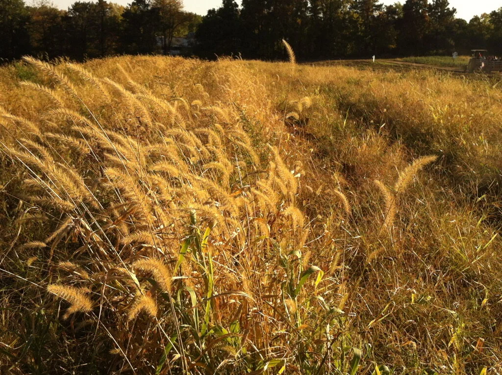 Scouting Location in NJ