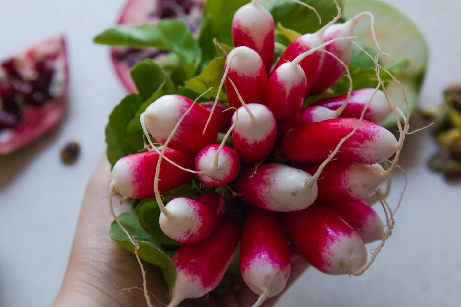 Radish and Apple Salad + Rose Water and Anchovy Yoghurt Dressing — My