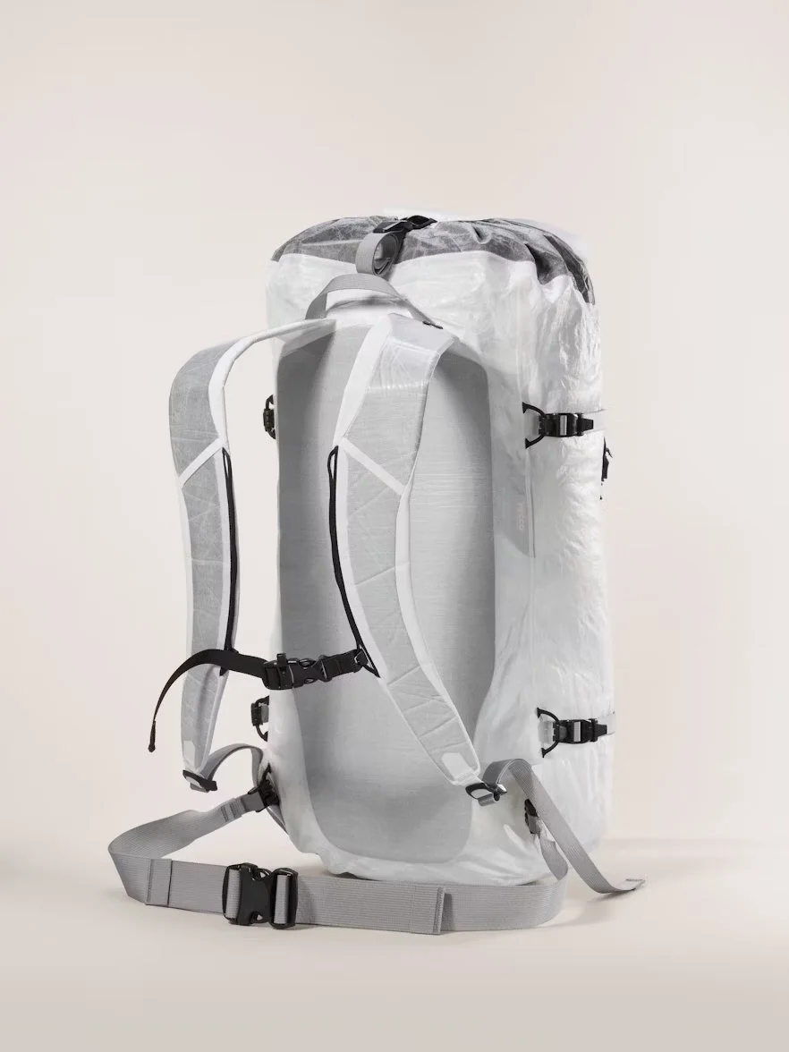 S25-X000009660-Alpha-SL-30-Backpack-White-Light-Back copy.jpg