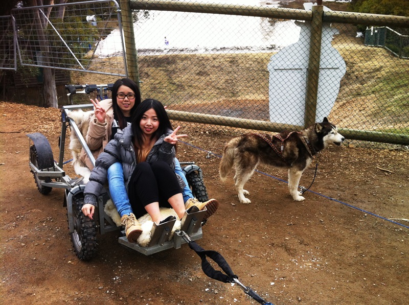 Evar and Tiffany husky dog rides.jpg