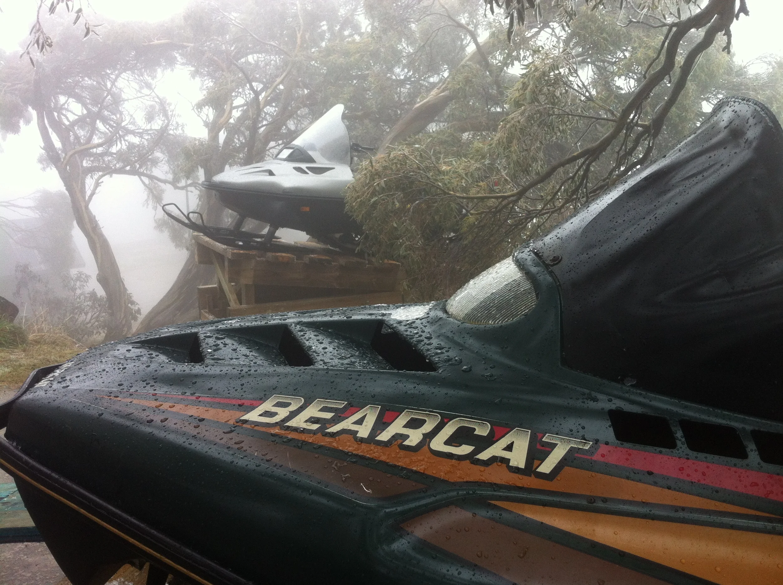 It's the news Mt Buller's been waiting for...