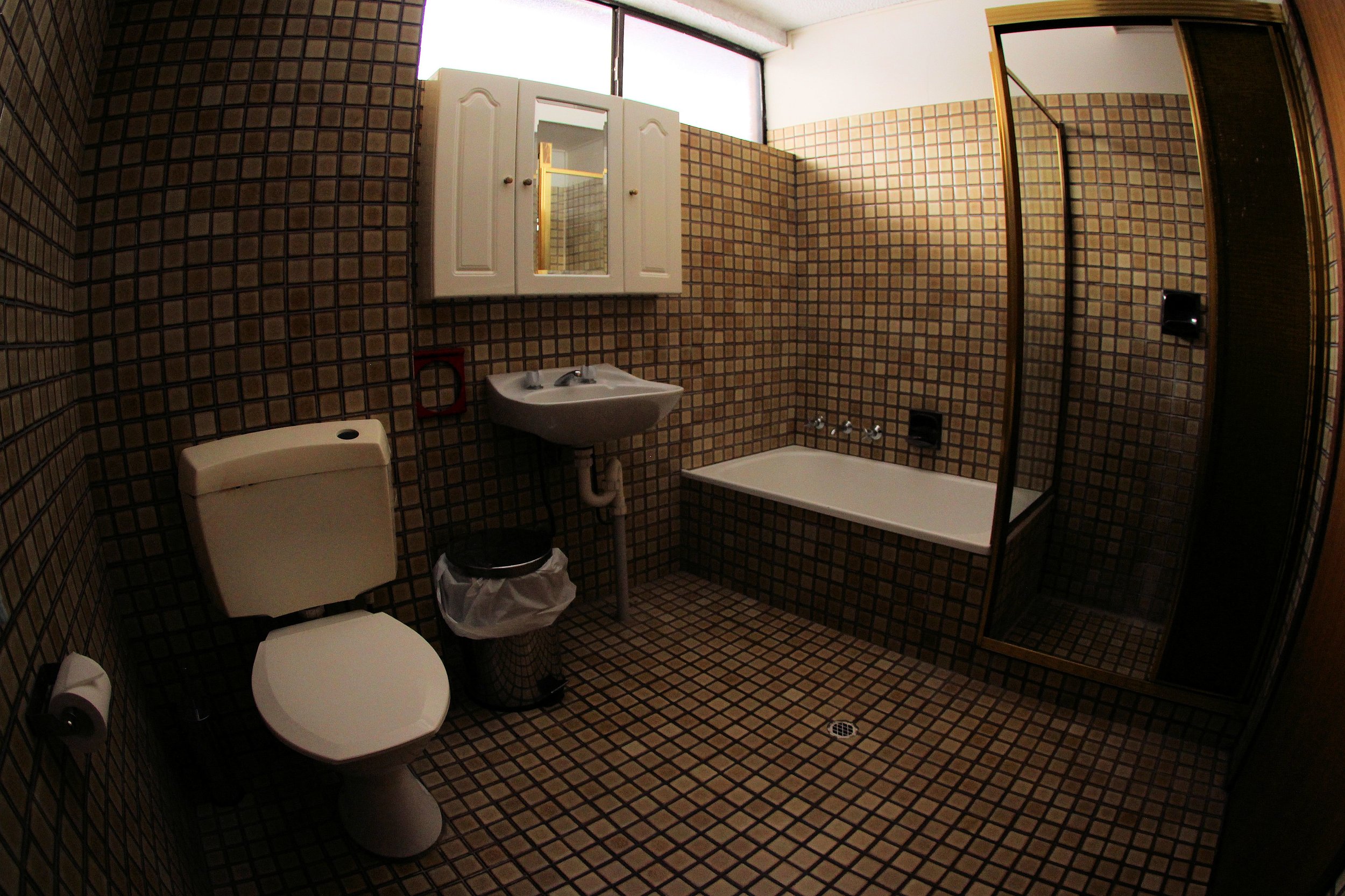 Alpine-Retreat-Chamois-Apartment Bathroom.jpg