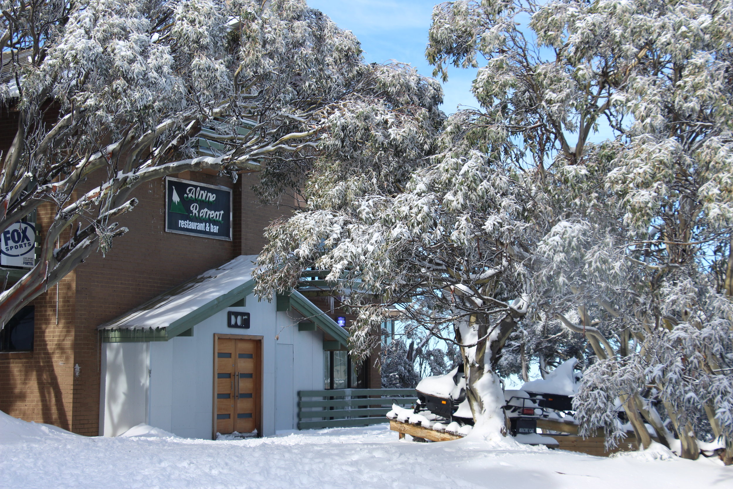 Alpine Retreat Snowgums.JPG