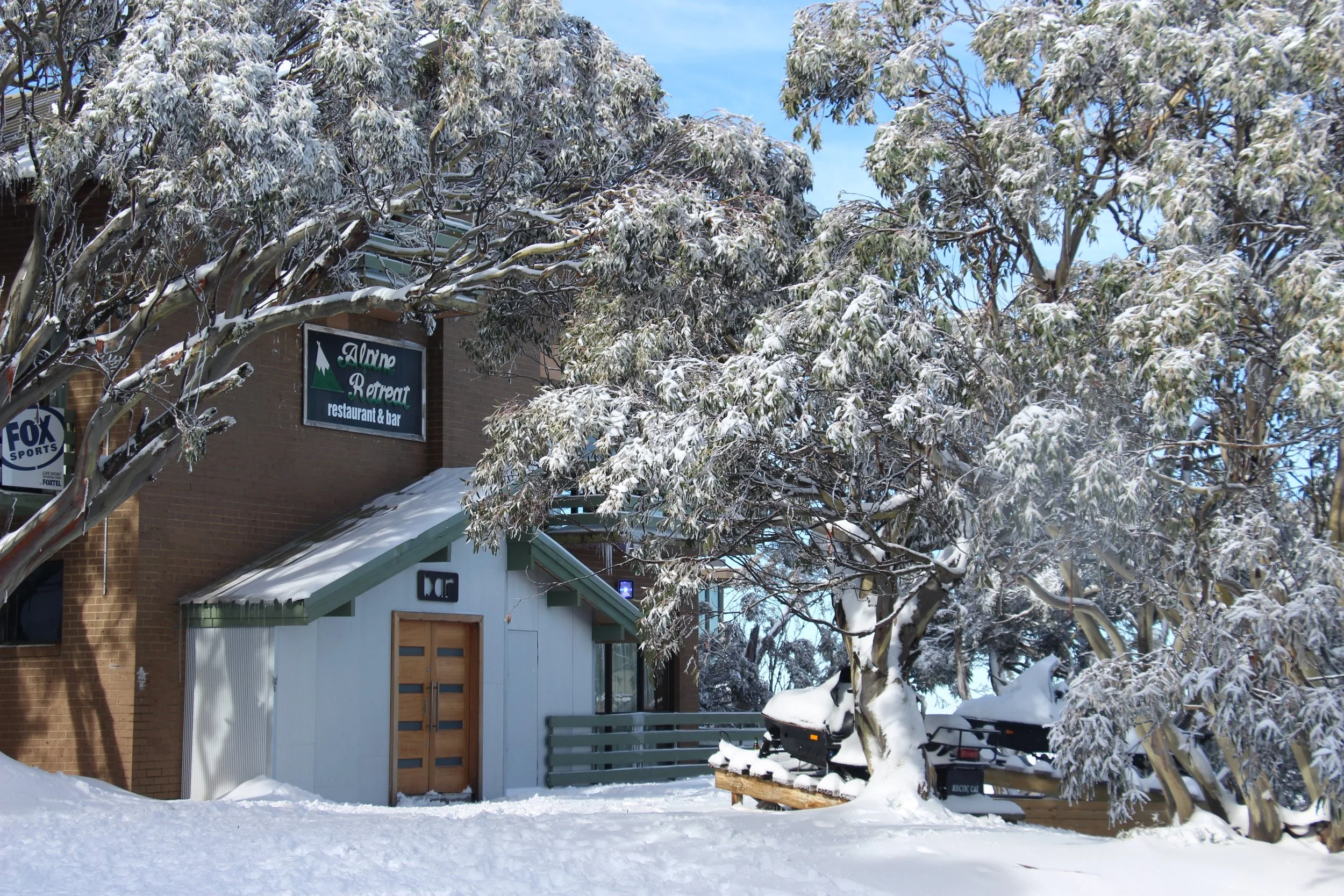 Alpine Retreat Snowgums 1.JPG