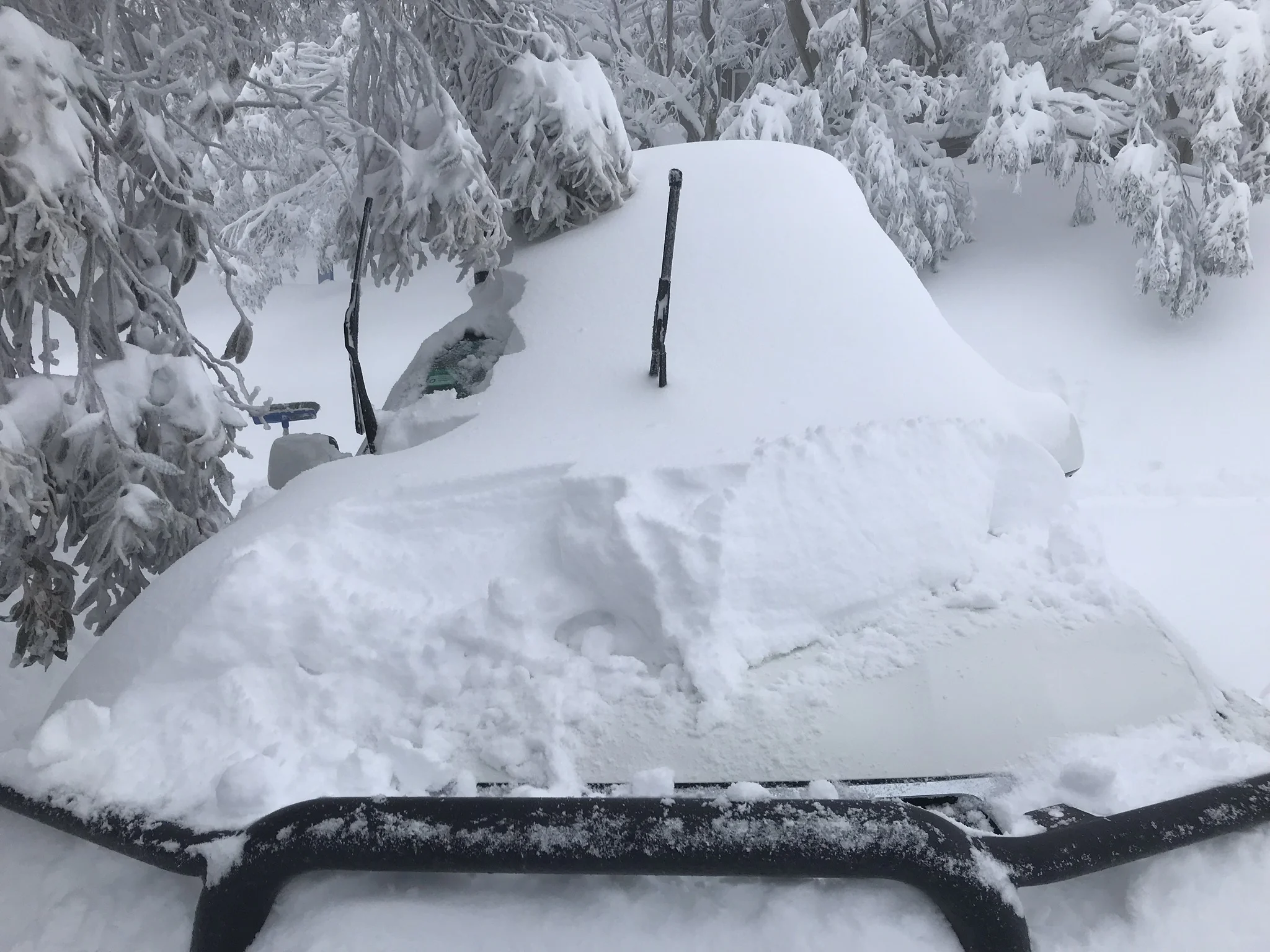 The power of snow - are y'all ready for this?