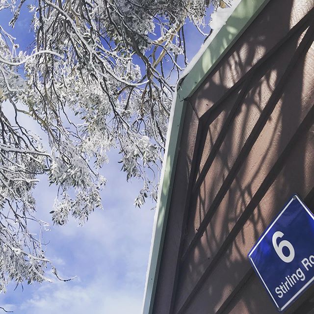Spring snow and blue skies, today is a good day ❄️👍
.
.
#thisismybuller #springskiing #septembersnow #skibuller #alpineretreatmtbuller