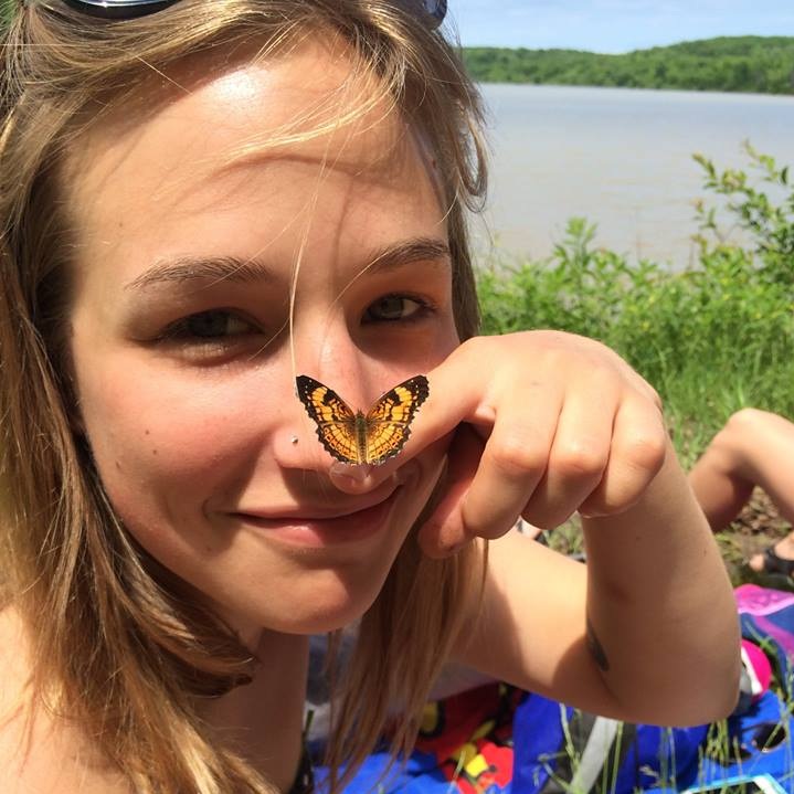 butterfly.jpg
