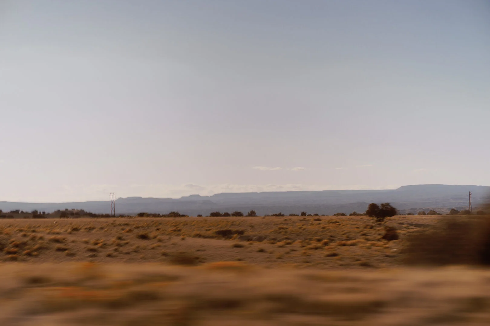 JMT06985.jpg