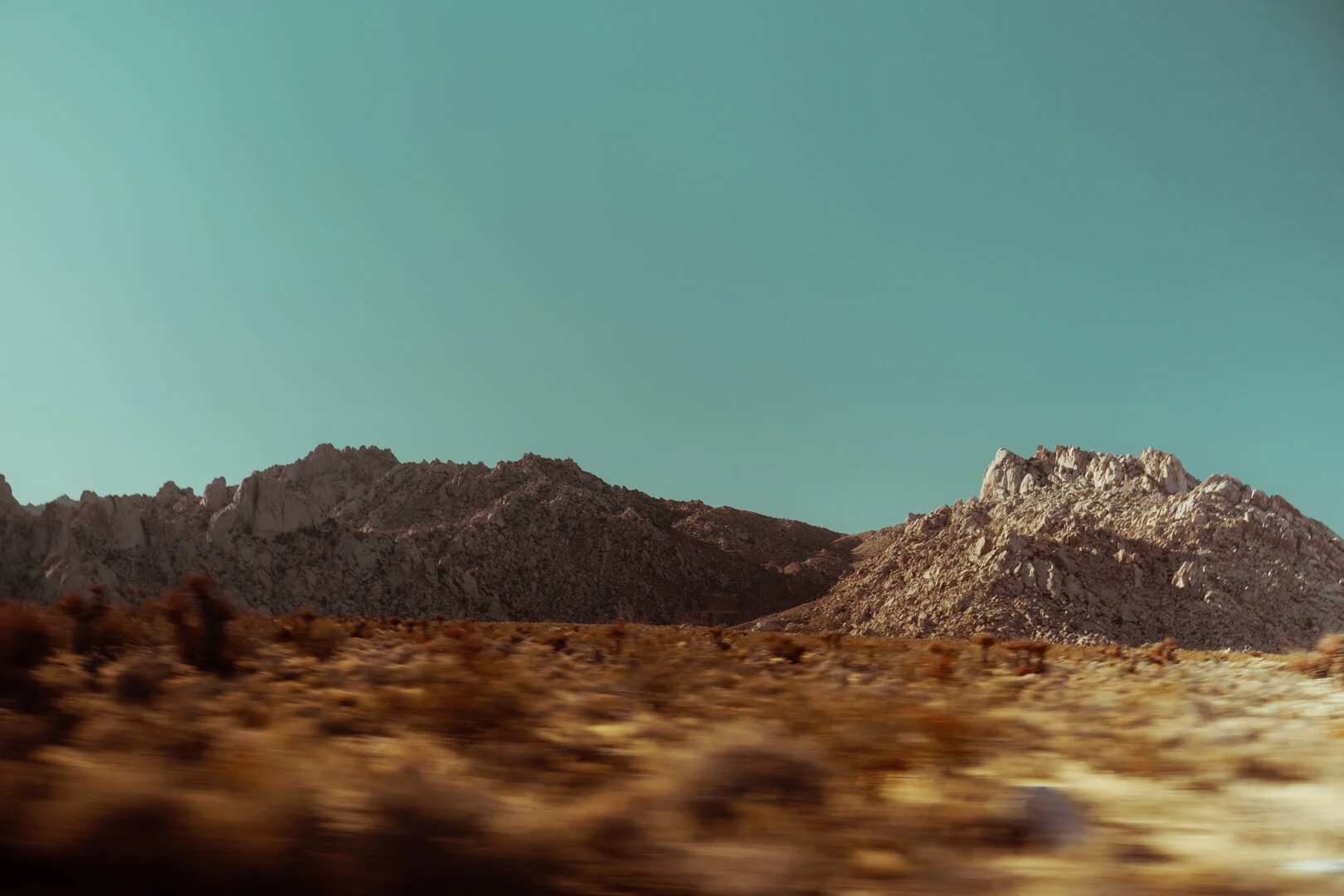 JMT07553.jpg