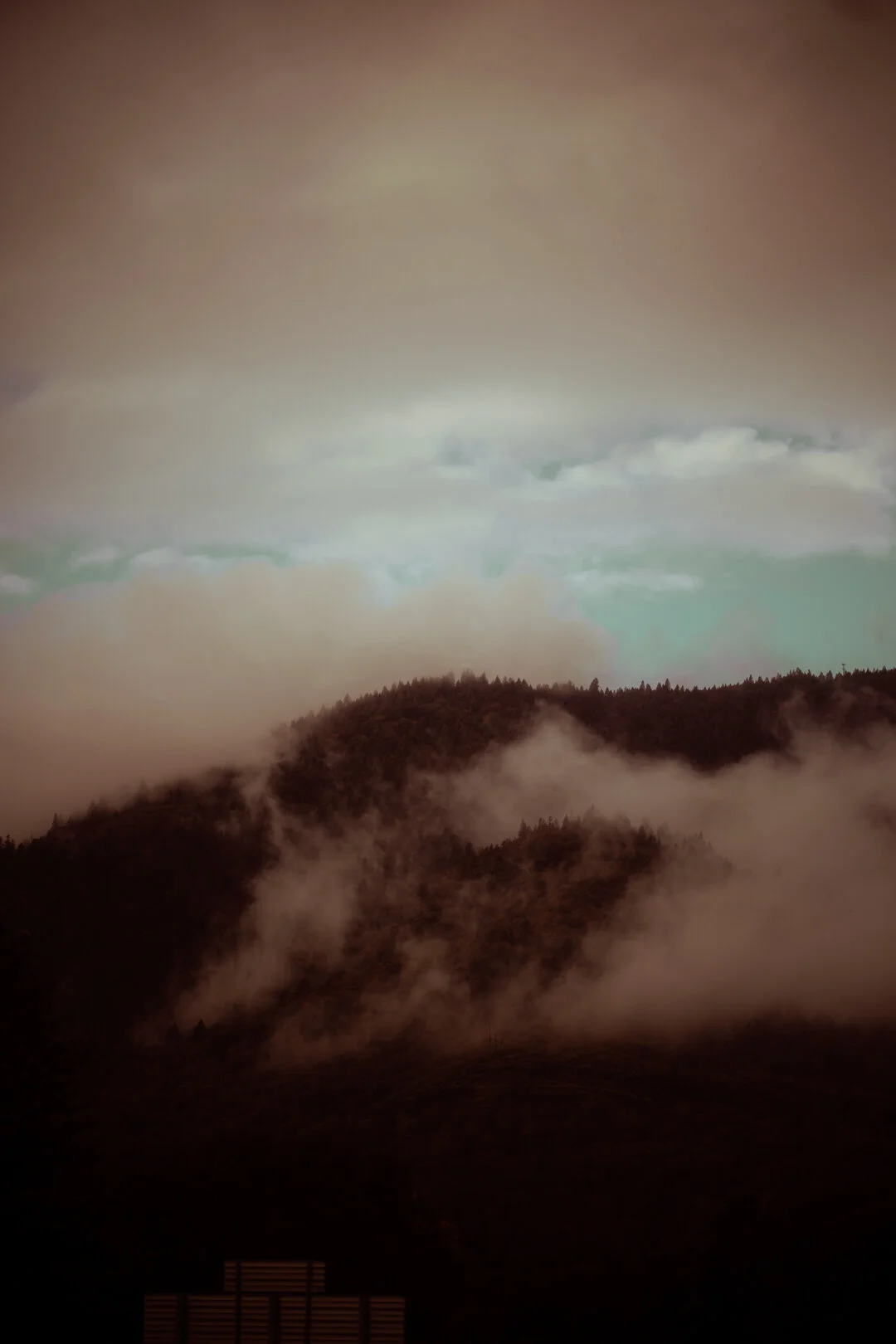 JMT08030.jpg