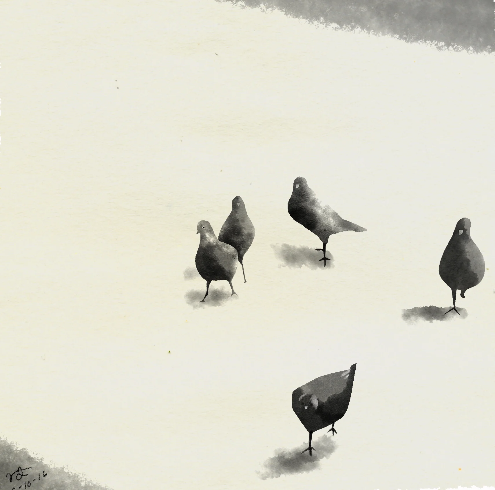 Pigeons