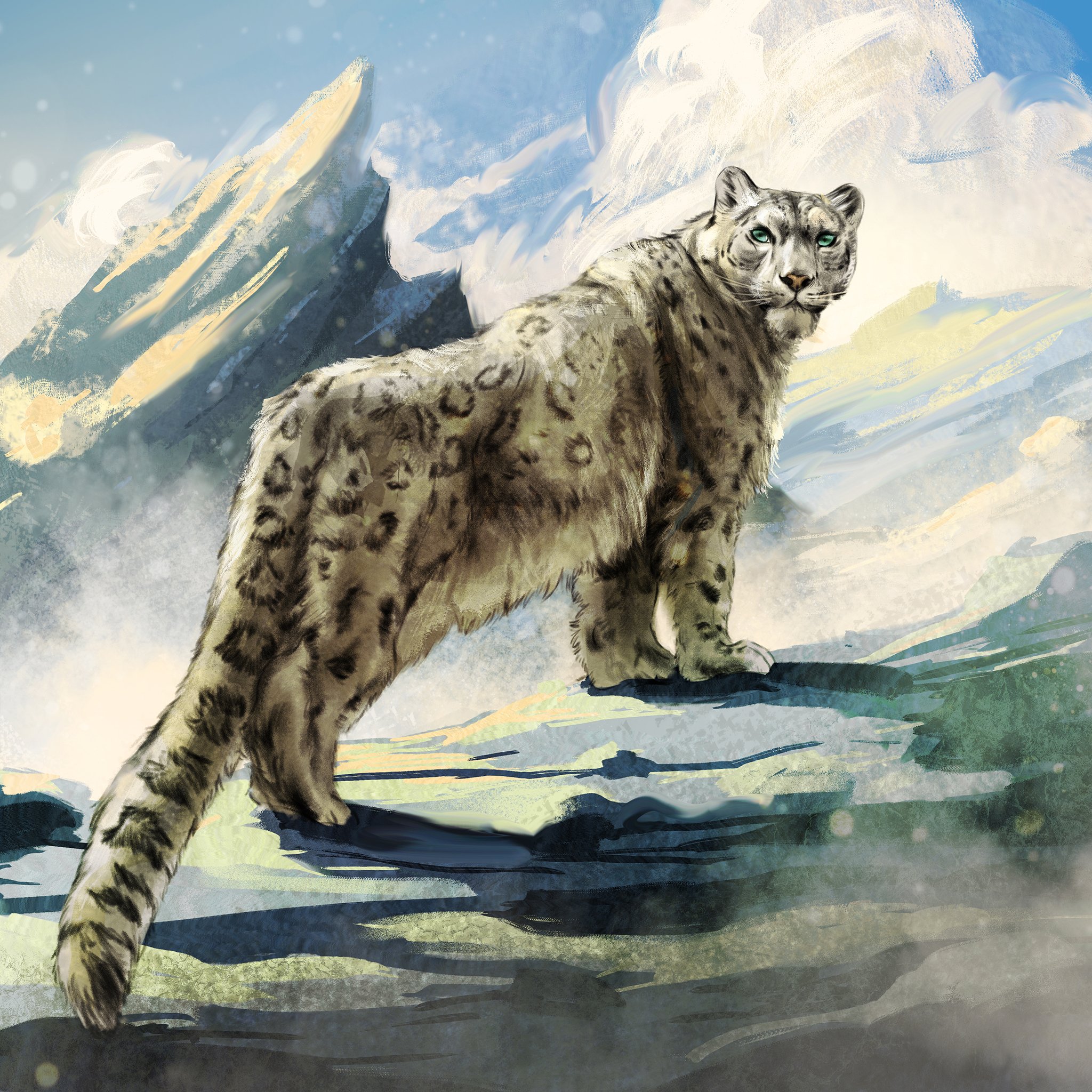 MAGIC_SNOWLEOPARD_FINAL.jpg