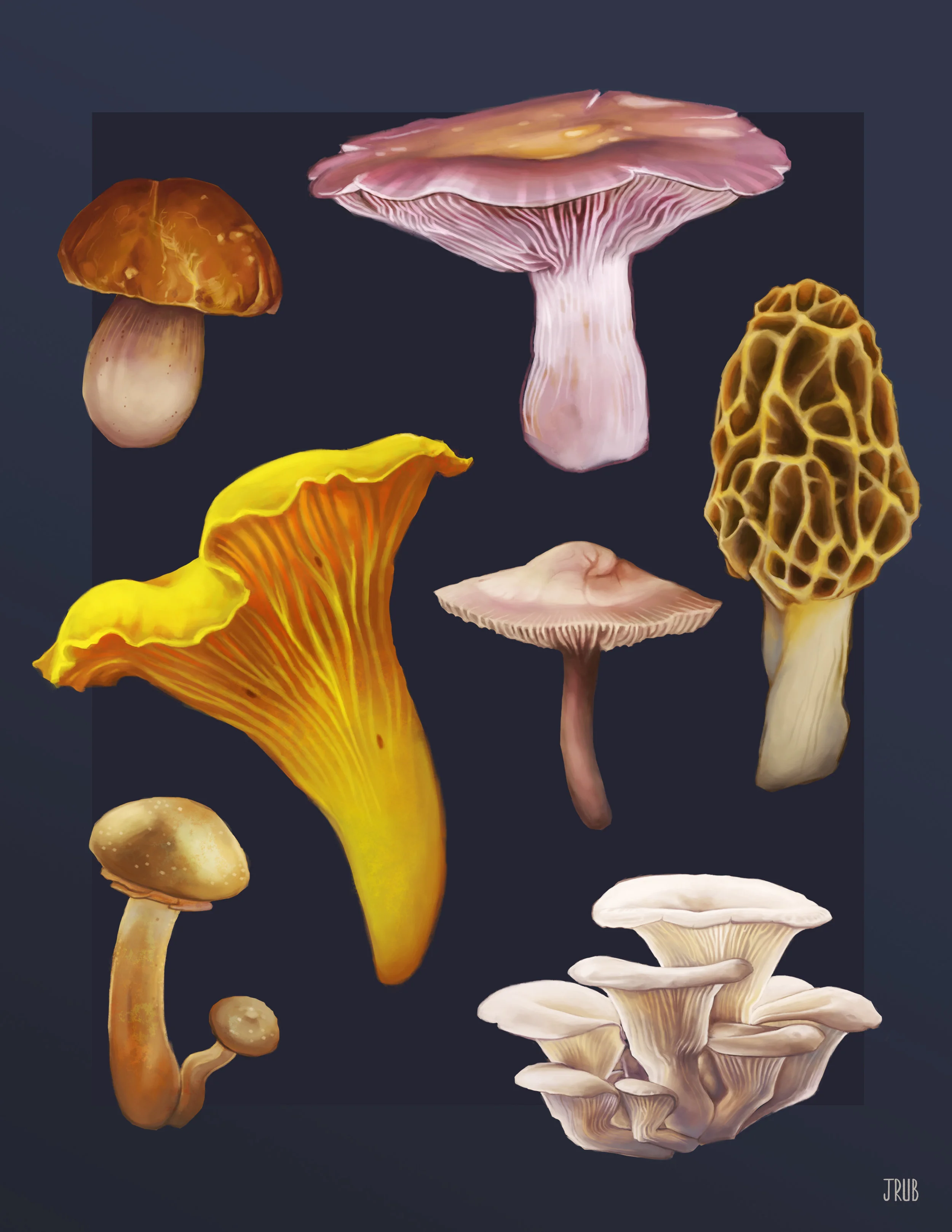 mushroomsheet.jpg