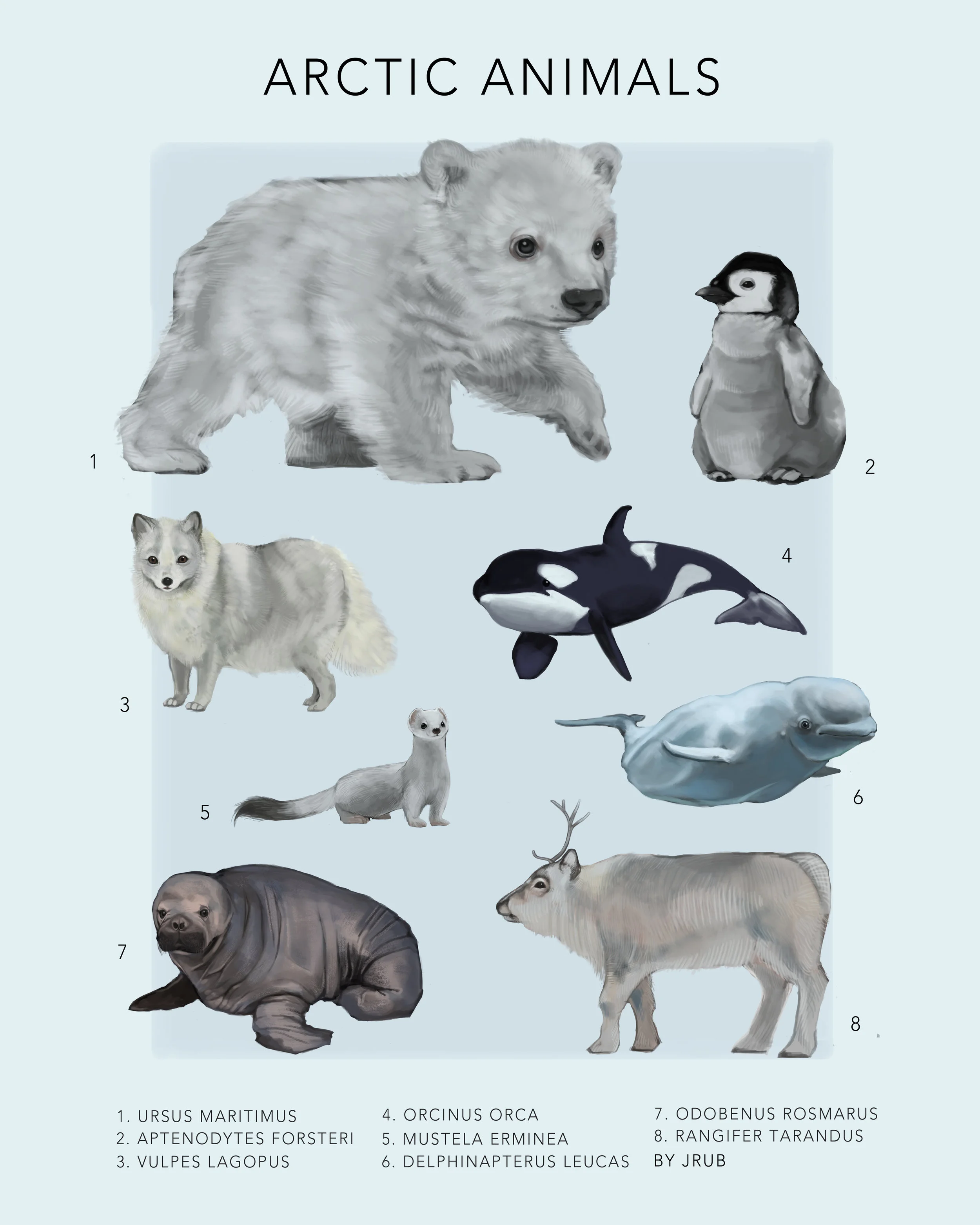 Arctic_Animals.jpg
