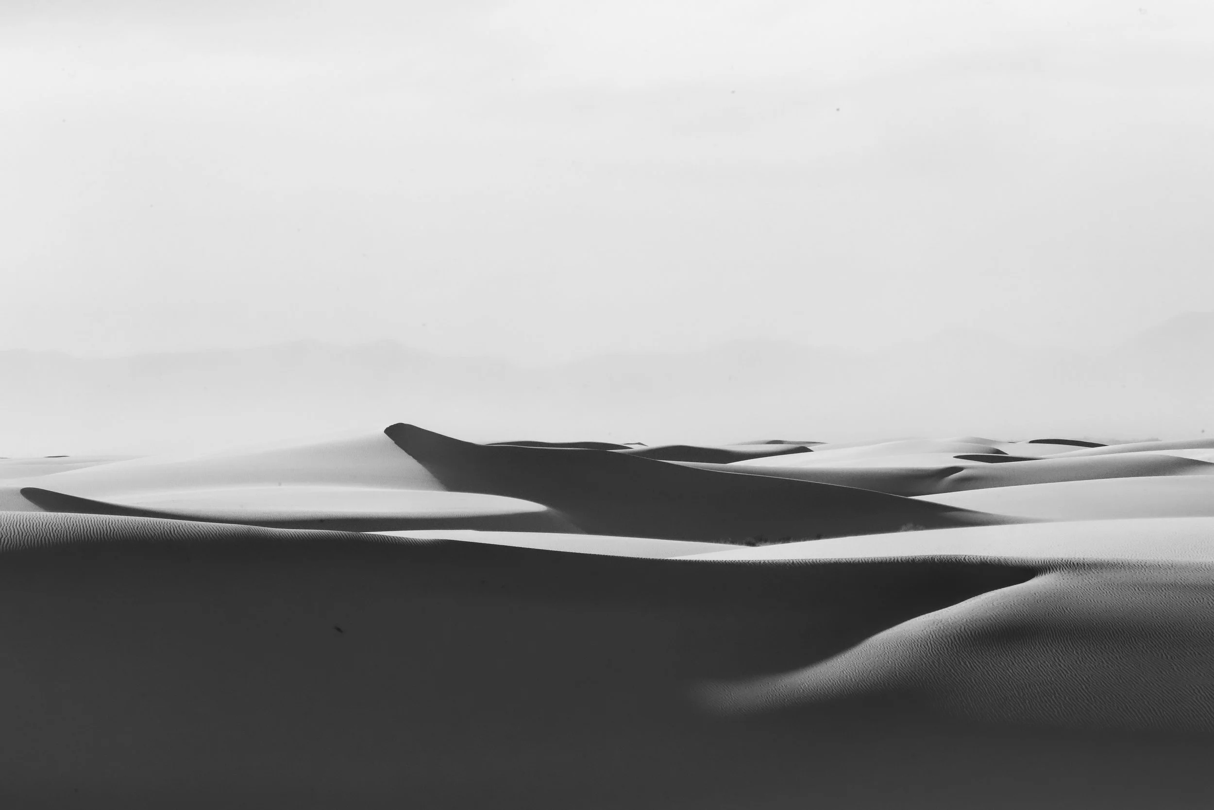 AN9T79471.jpeg