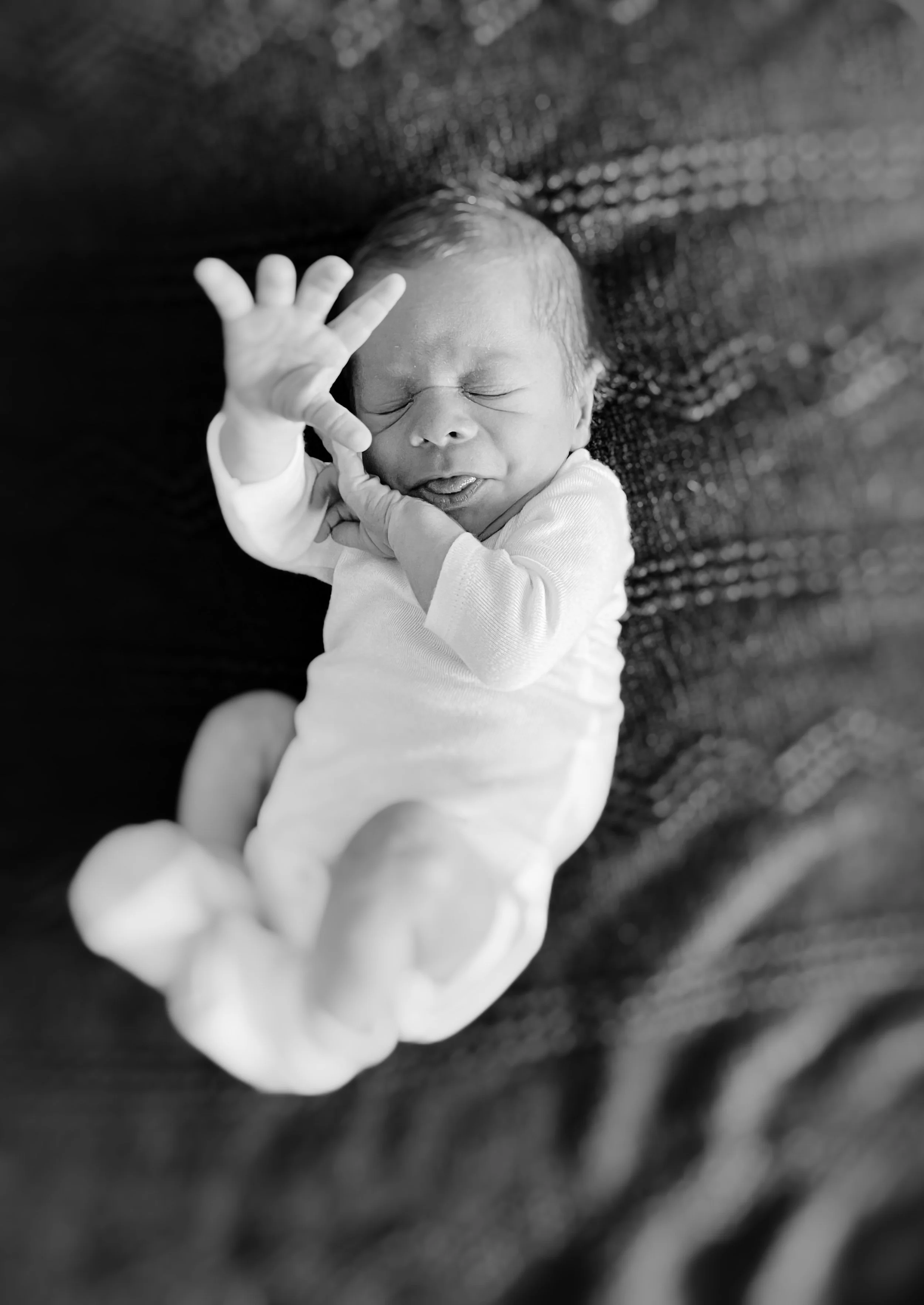 IMG_1914.jpeg
