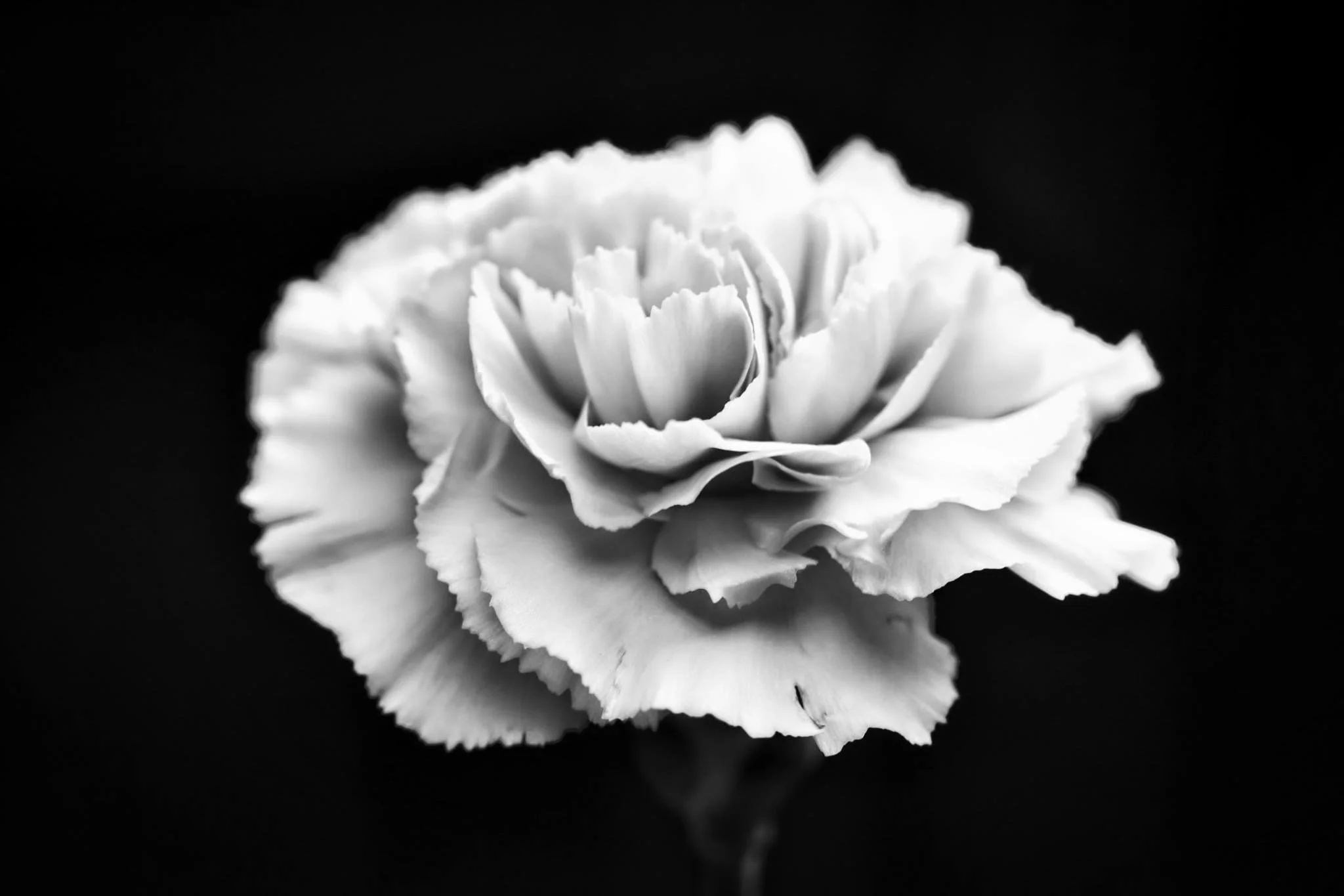 IMG_6210.jpeg